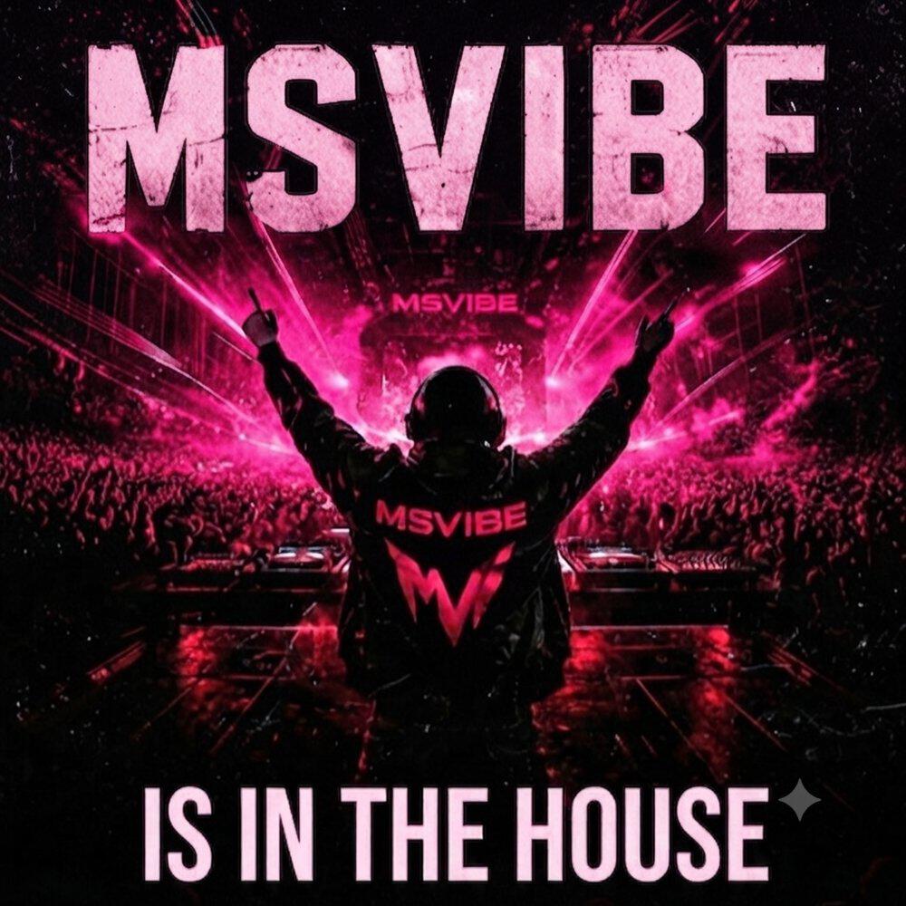 MSVIBE