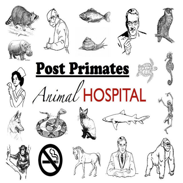 Релиз Animal Hospital