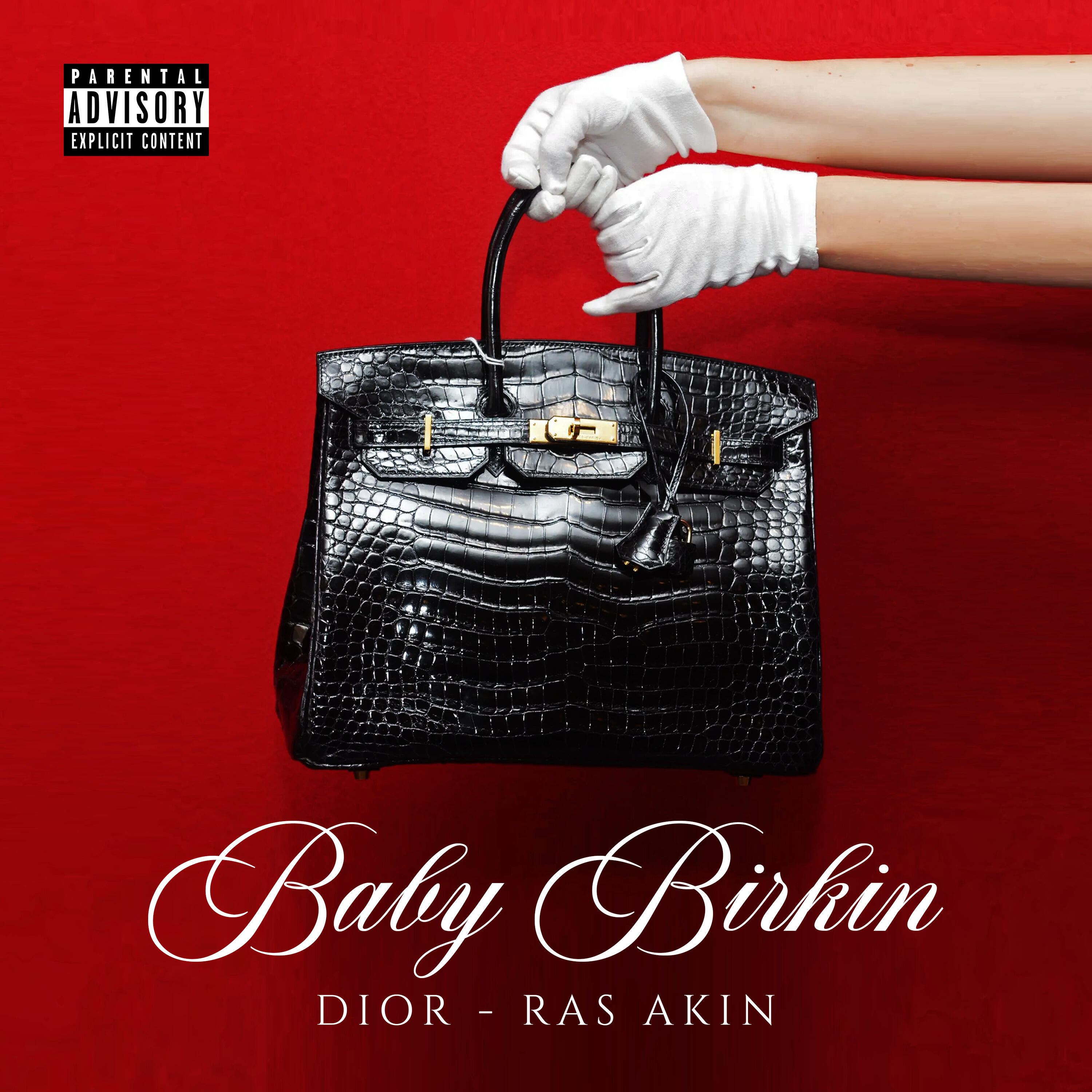 Релиз Baby Birkin