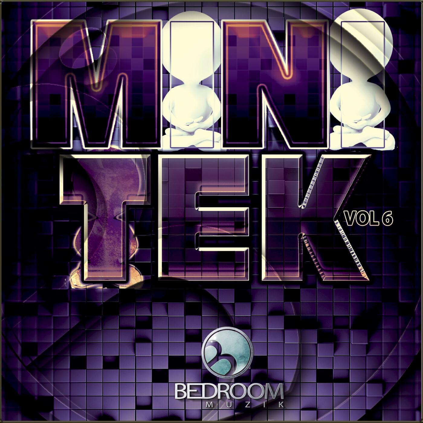 Релиз Mini Tek, Vol. 6