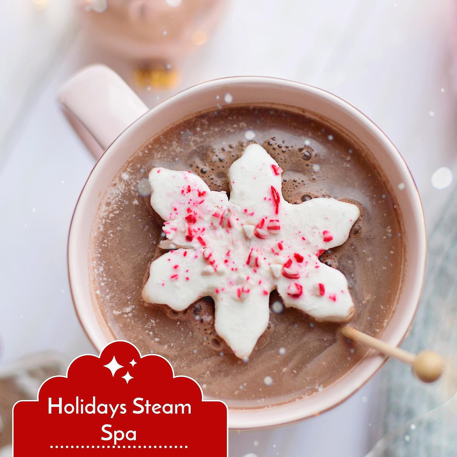 Релиз Holidays Steam Spa