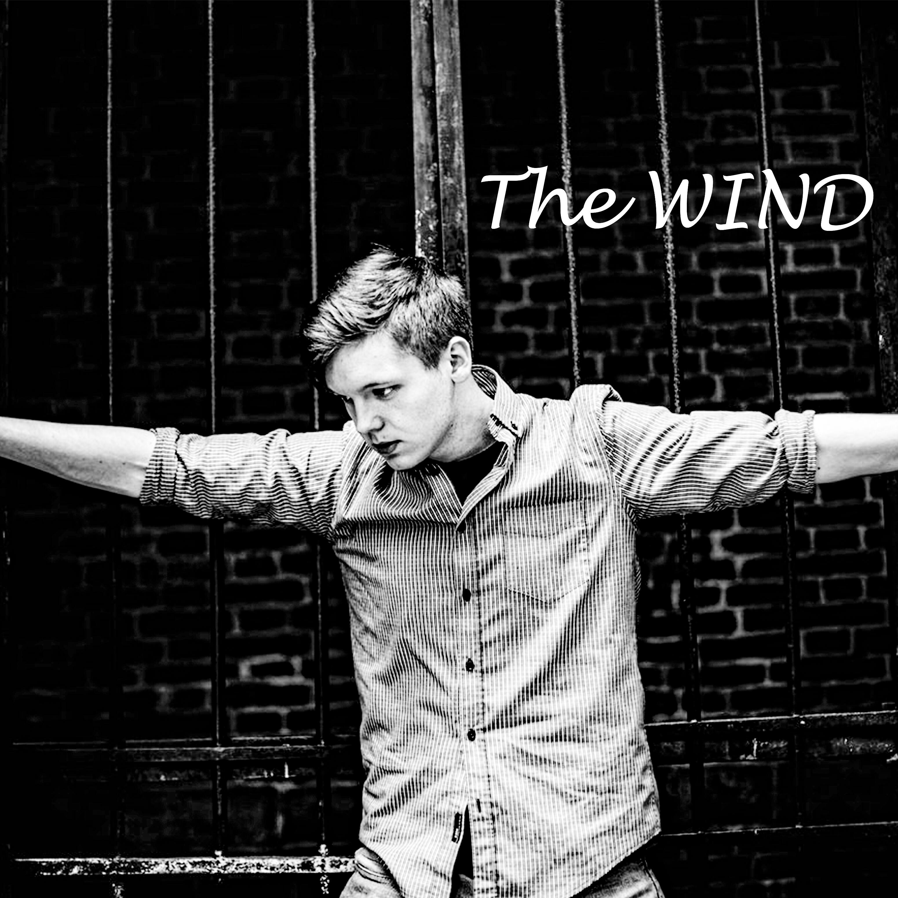Постер альбома The Wind