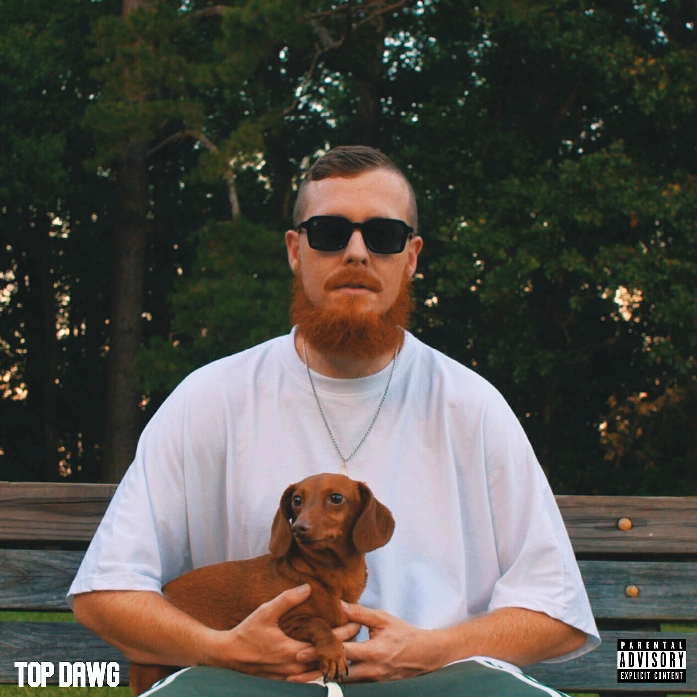 Релиз Top Dawg
