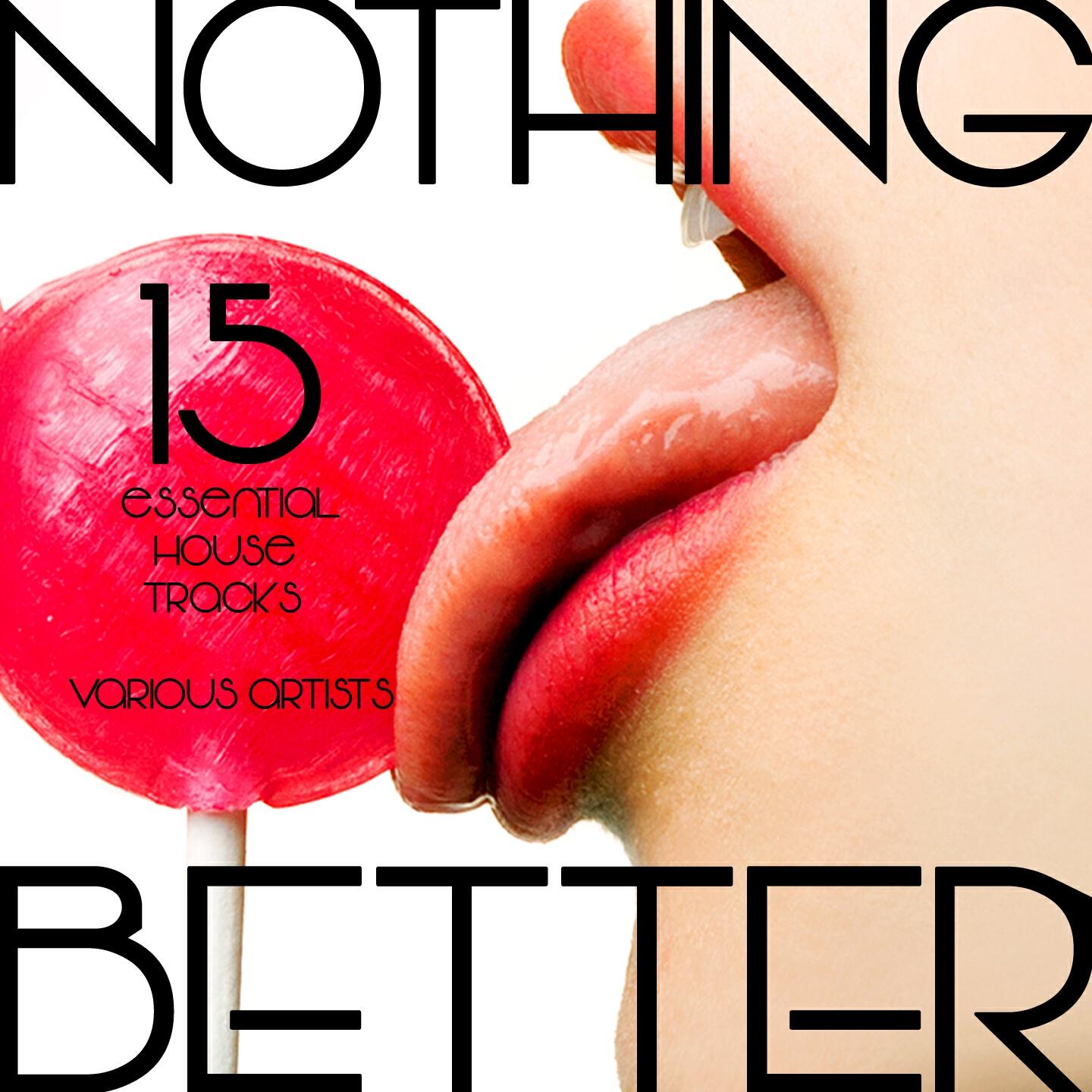Релиз Nothing Better (15 Essential House Tracks)