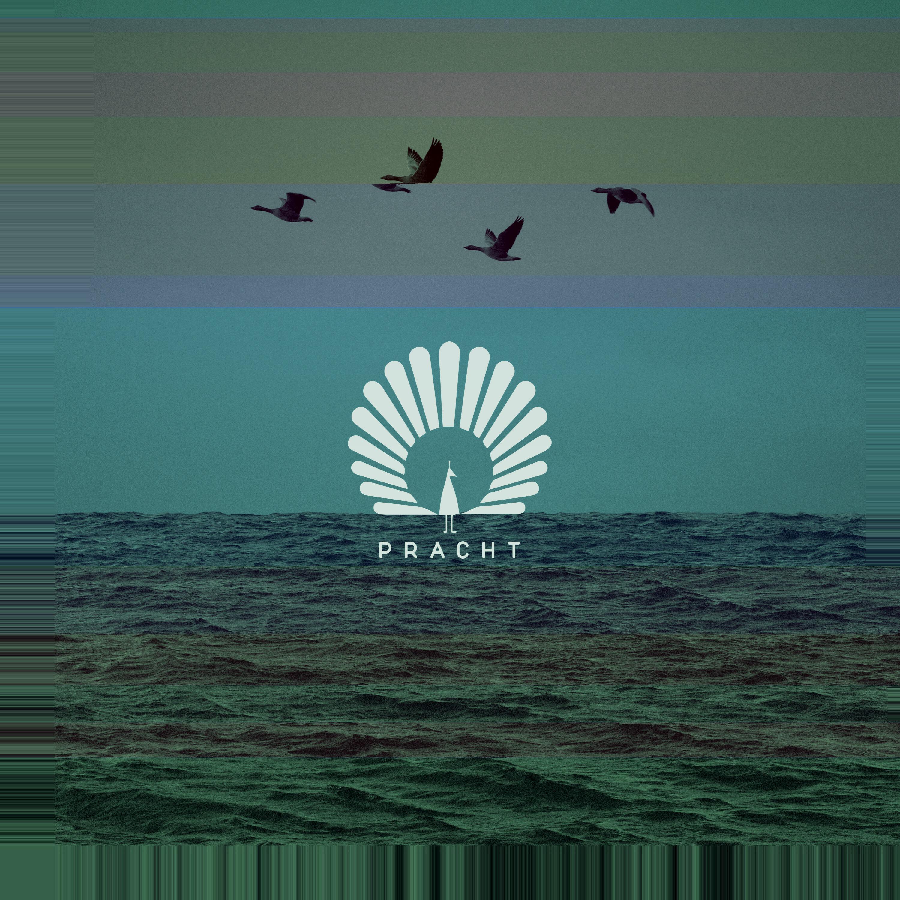 Релиз Packard (Monkey Safari Remix)