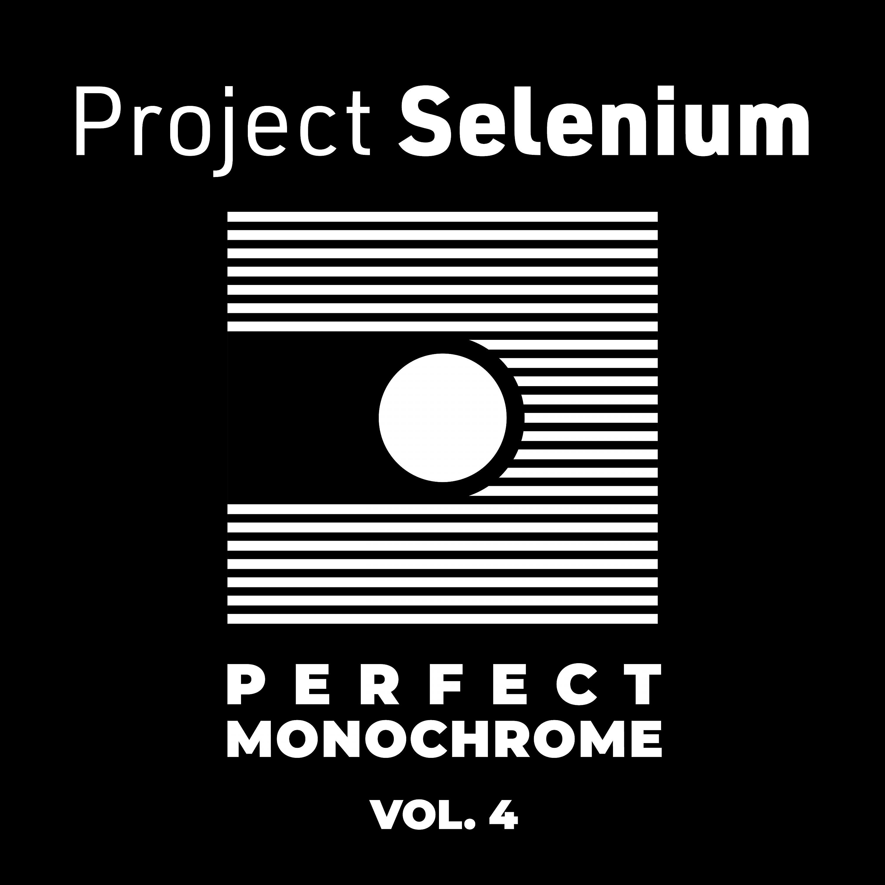 Релиз Perfect Monochrome, Vol. 4
