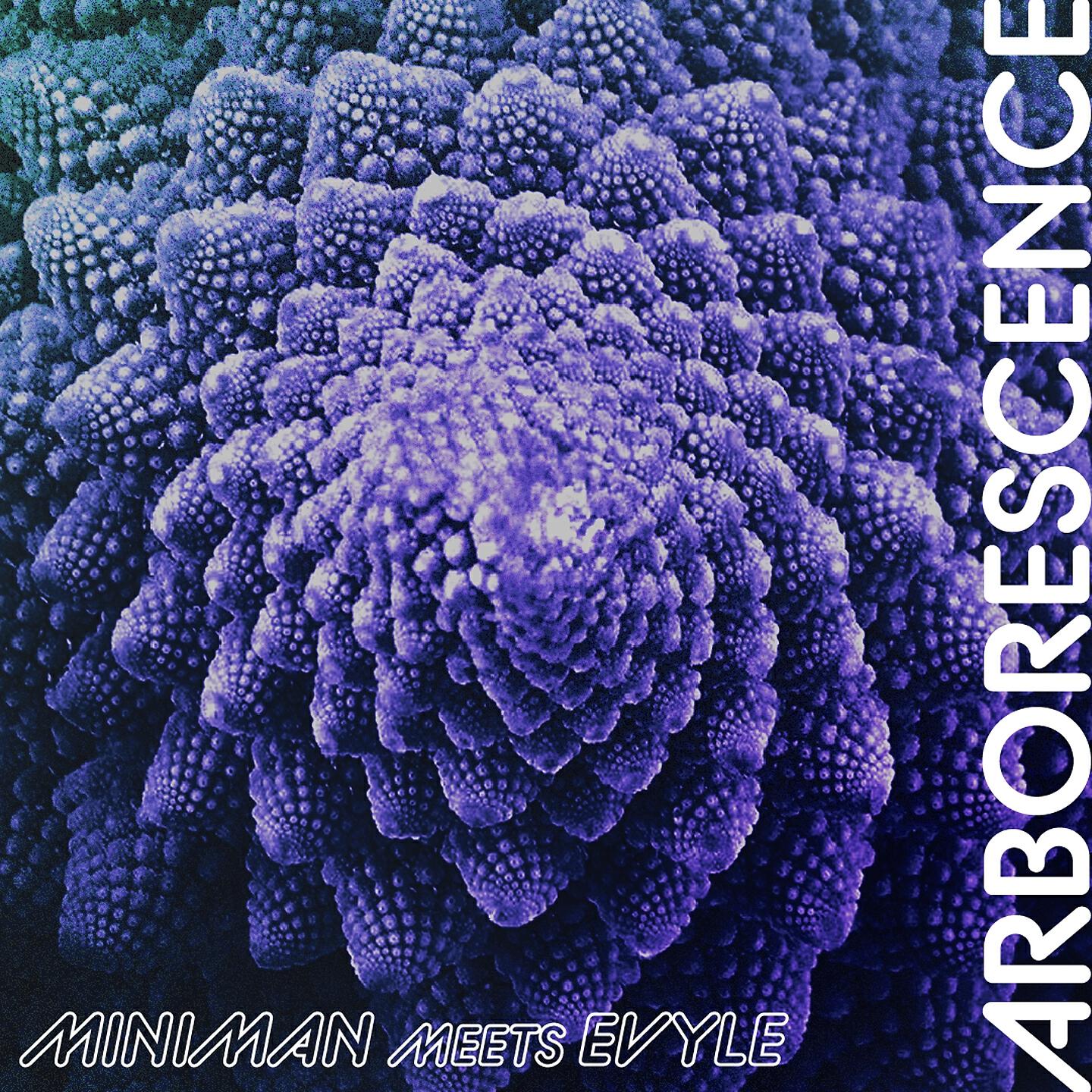 Релиз Arborescence