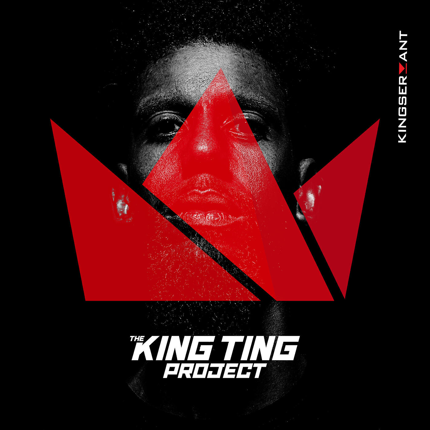 Релиз The King Ting Project