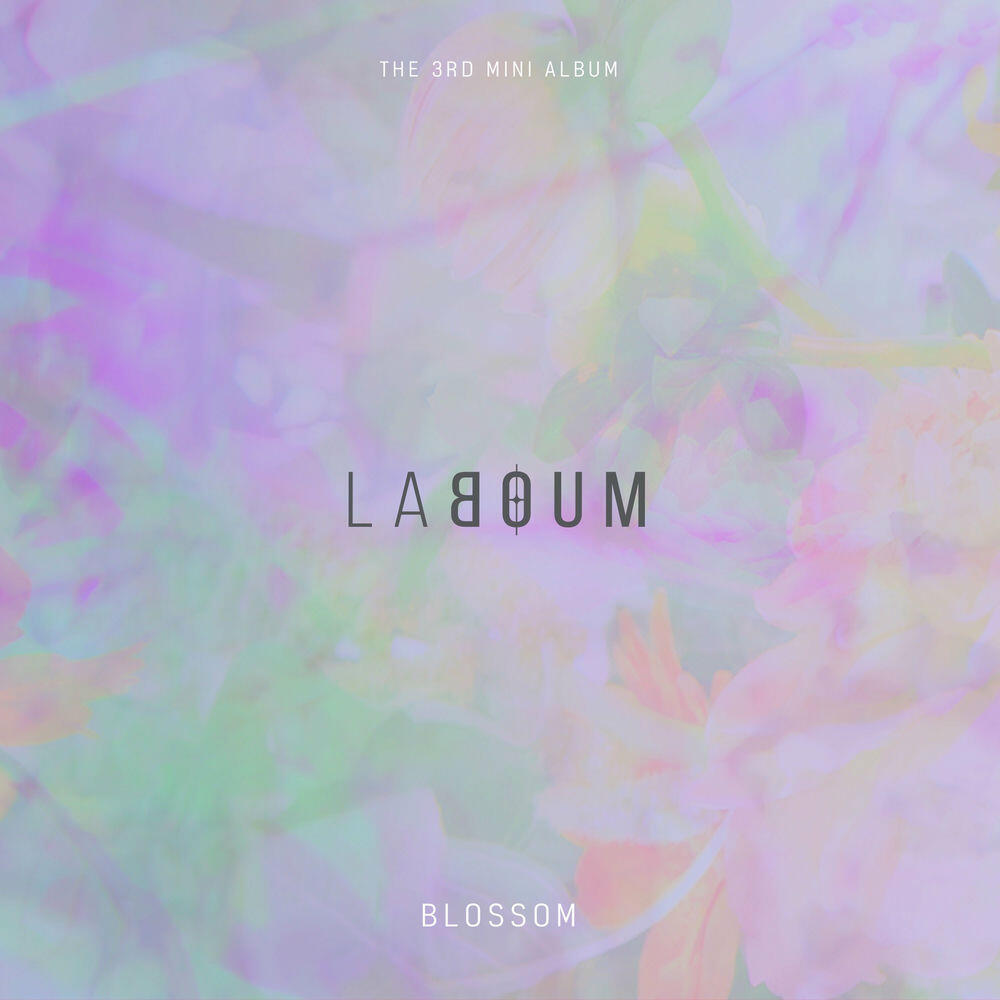 Релиз BLOSSOM