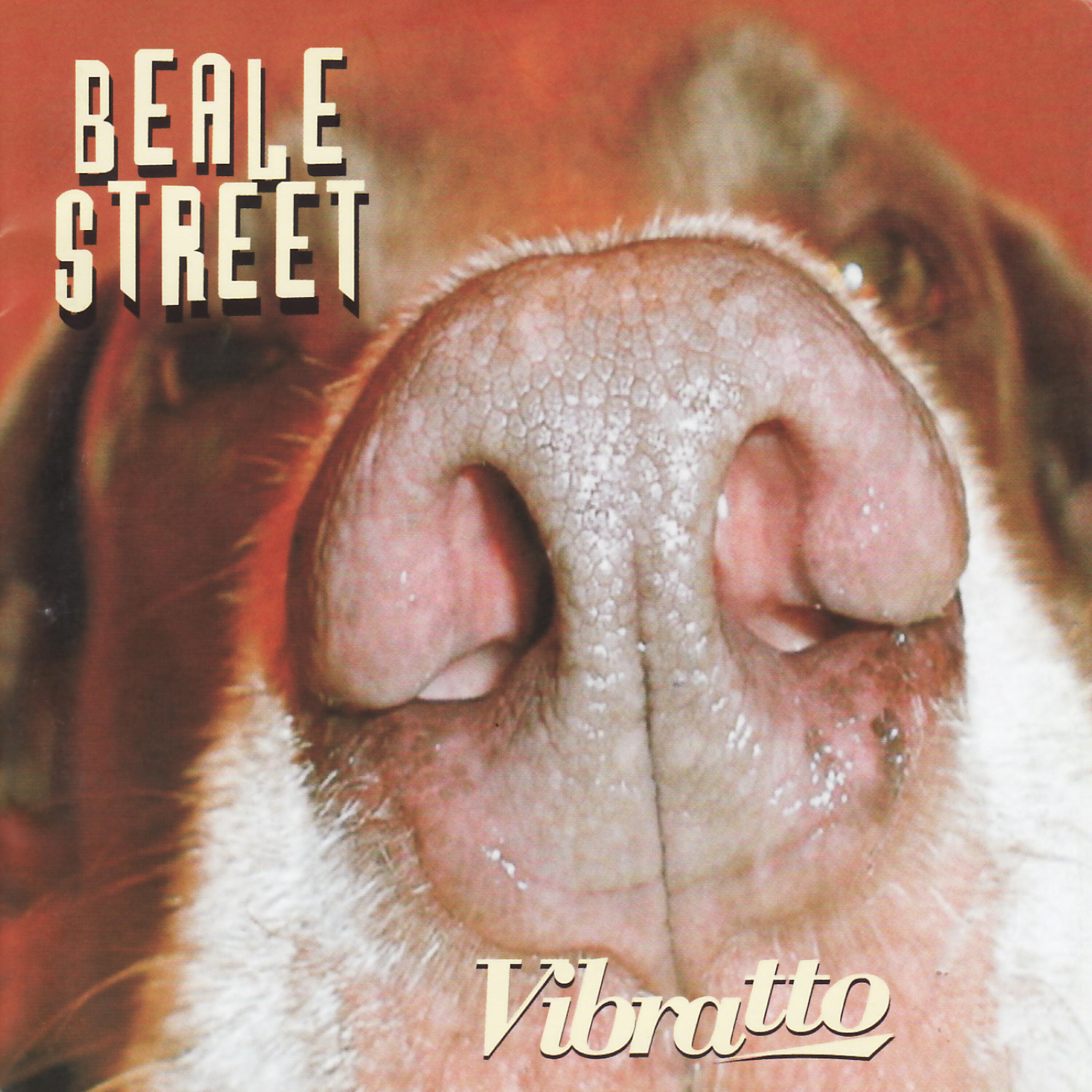Релиз Vibratto