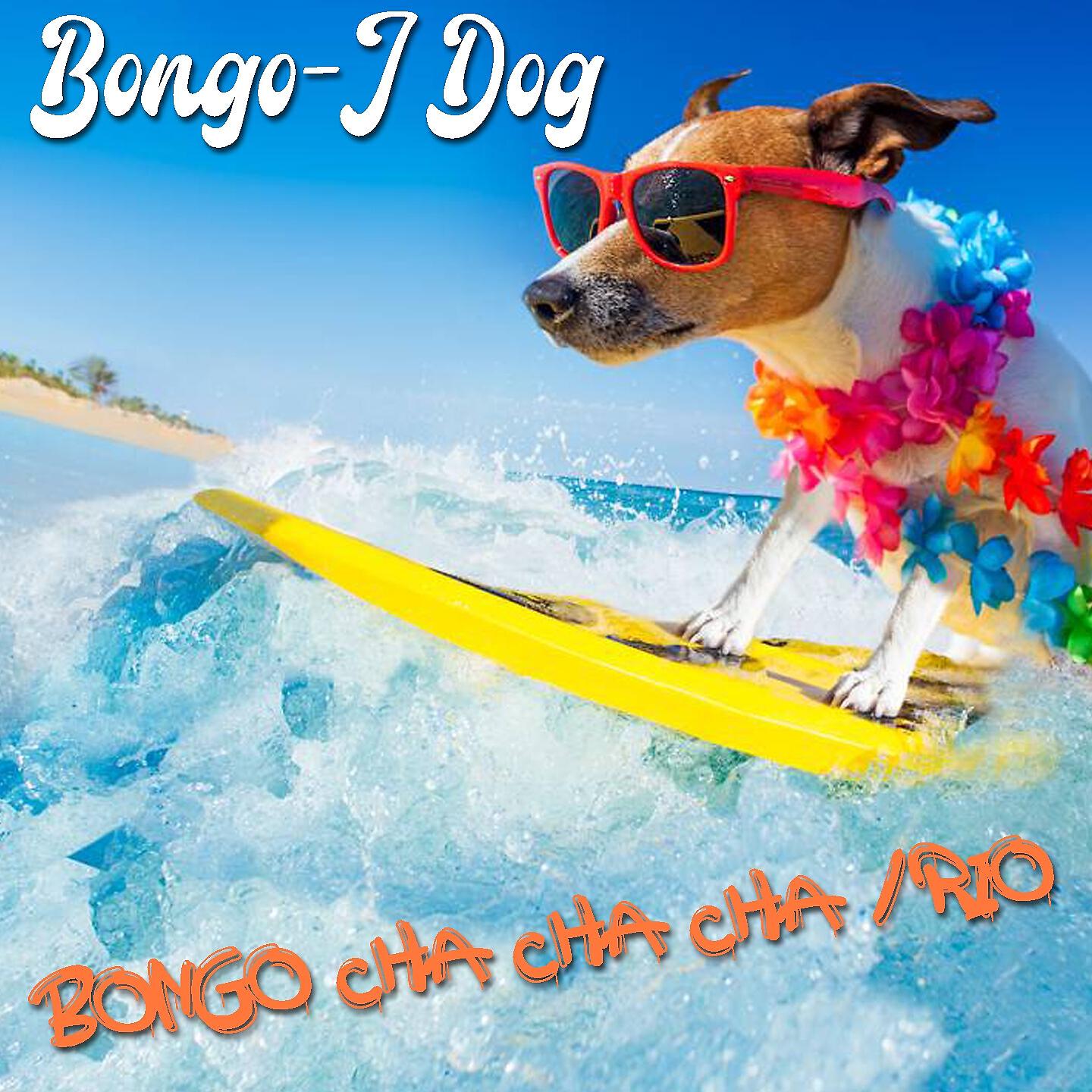 Bongo-J Dog