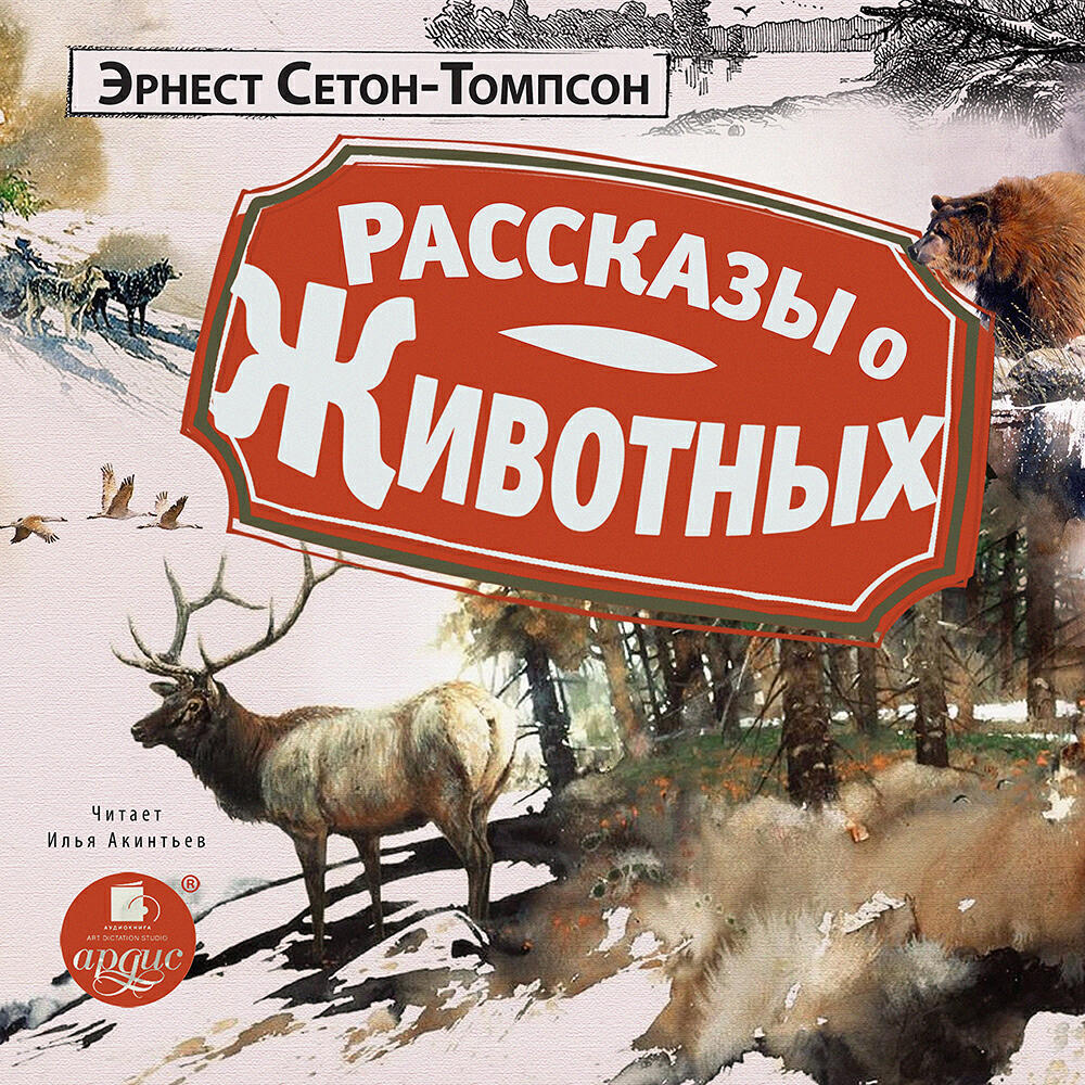 Книга Рассказы о животных