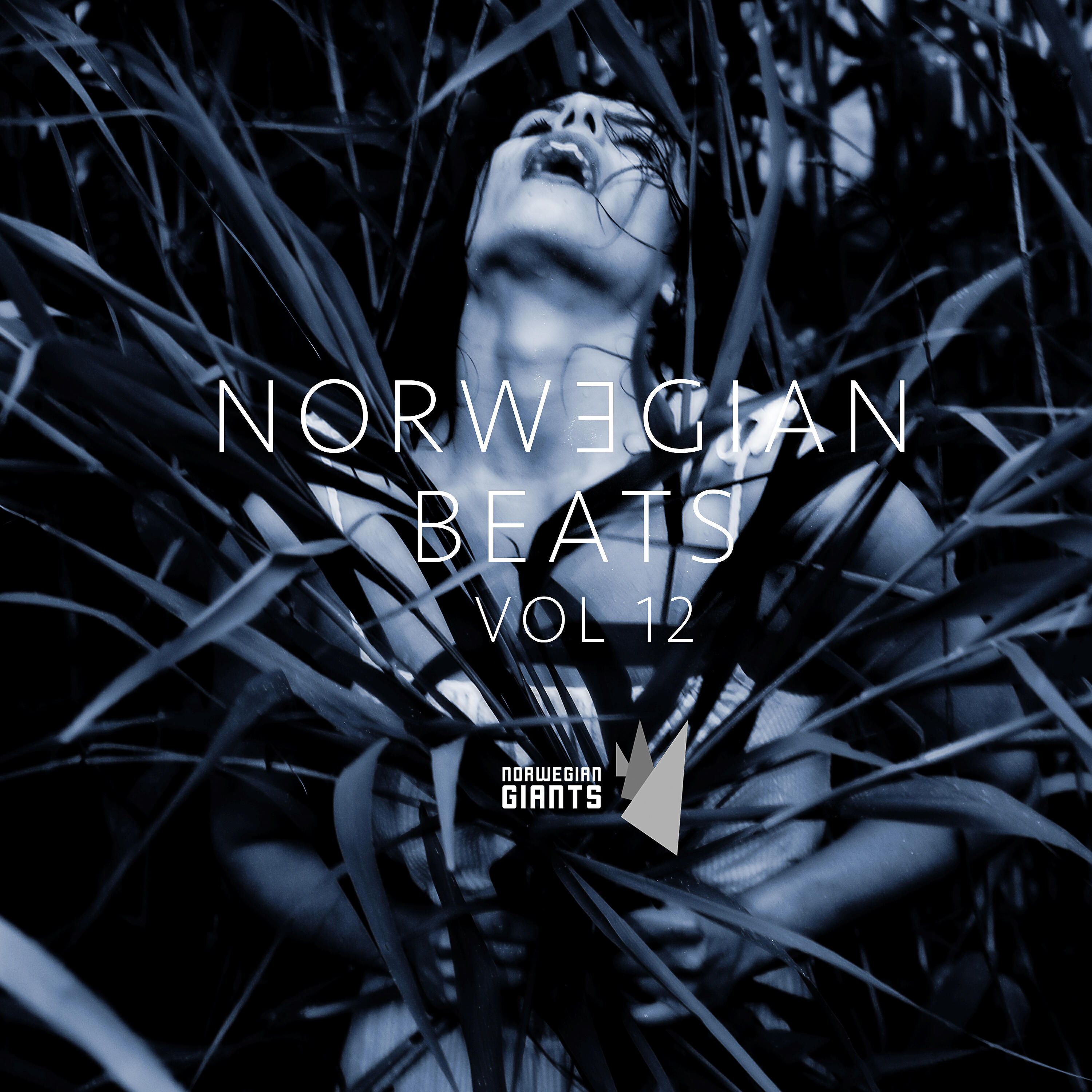 Релиз Norwegian Beats, Vol. 12