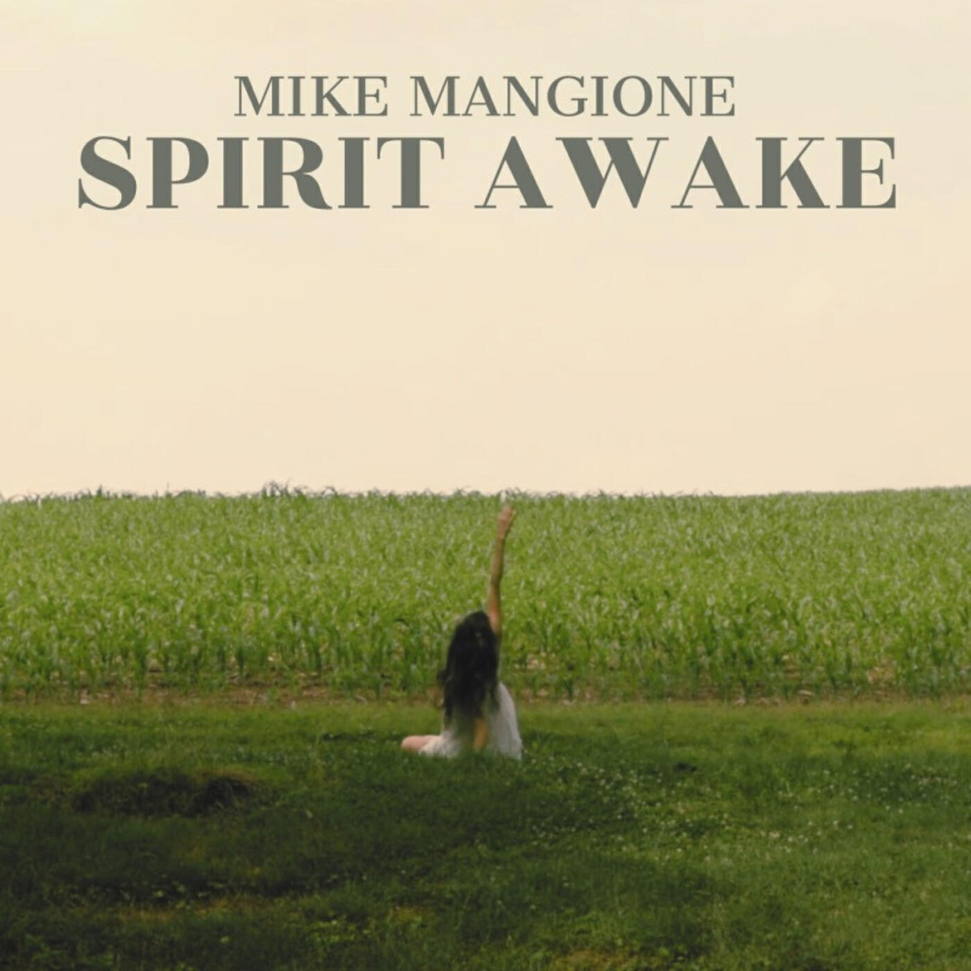 Релиз Spirit Awake (Alternate Take)