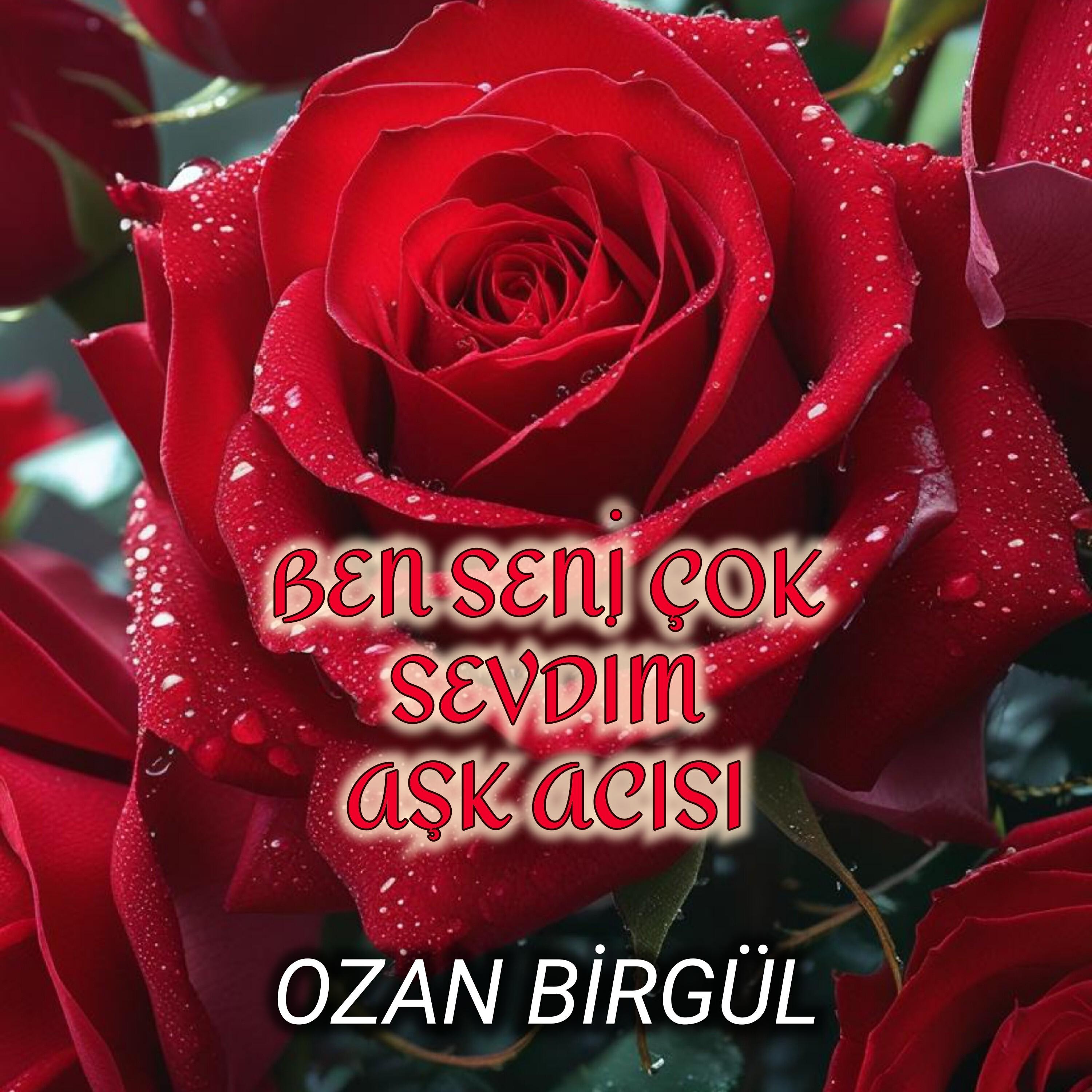 Релиз Ben Seni Çok Sevdim Aşk Acısı