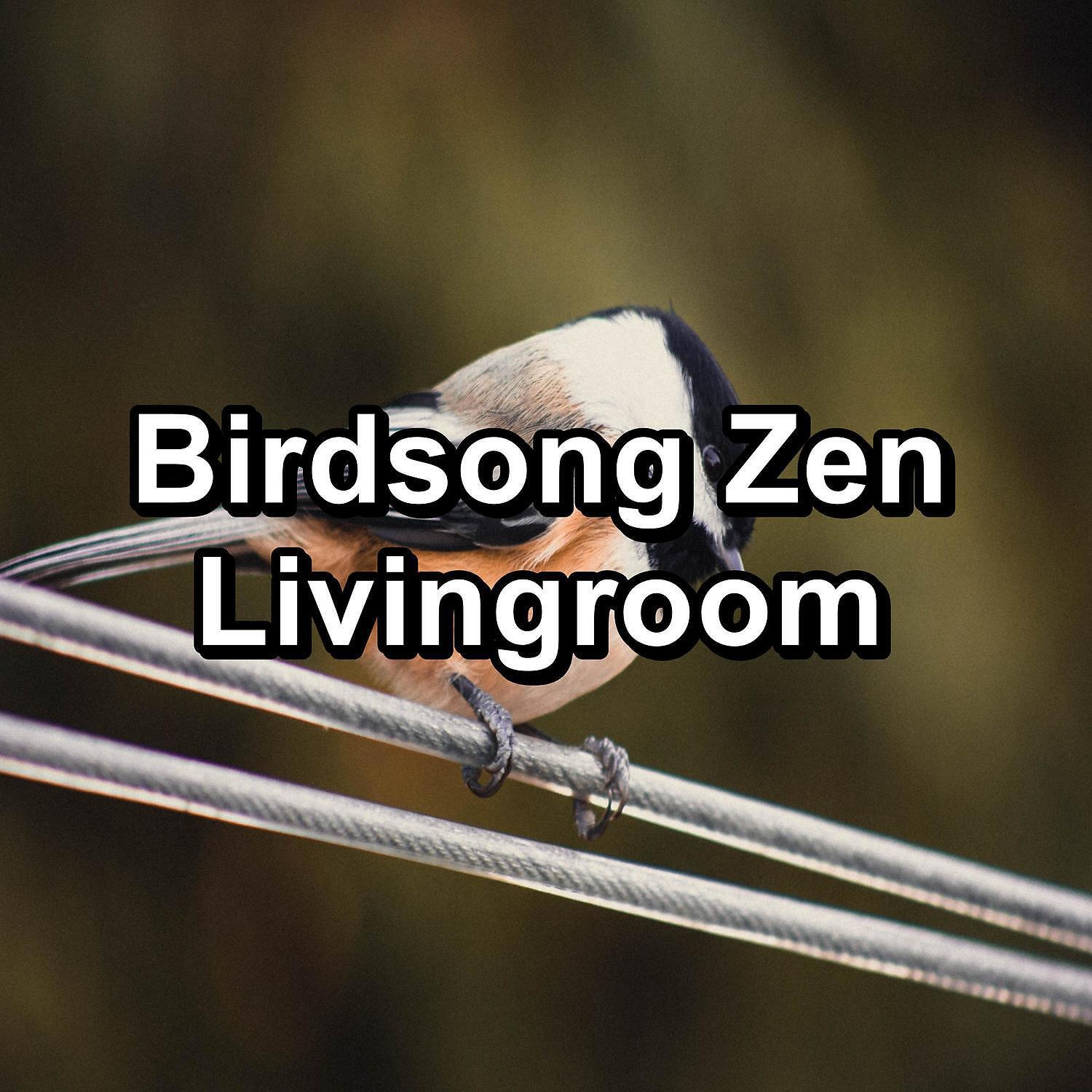 Релиз Birdsong Zen Livingroom