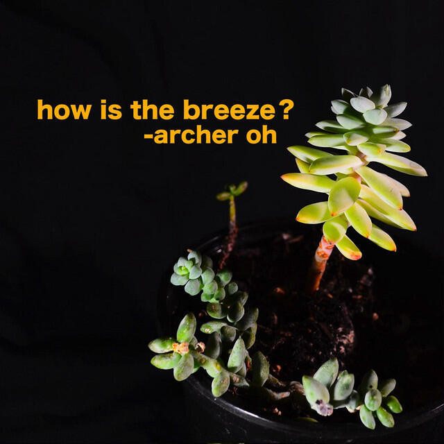 Релиз How Is the Breeze?