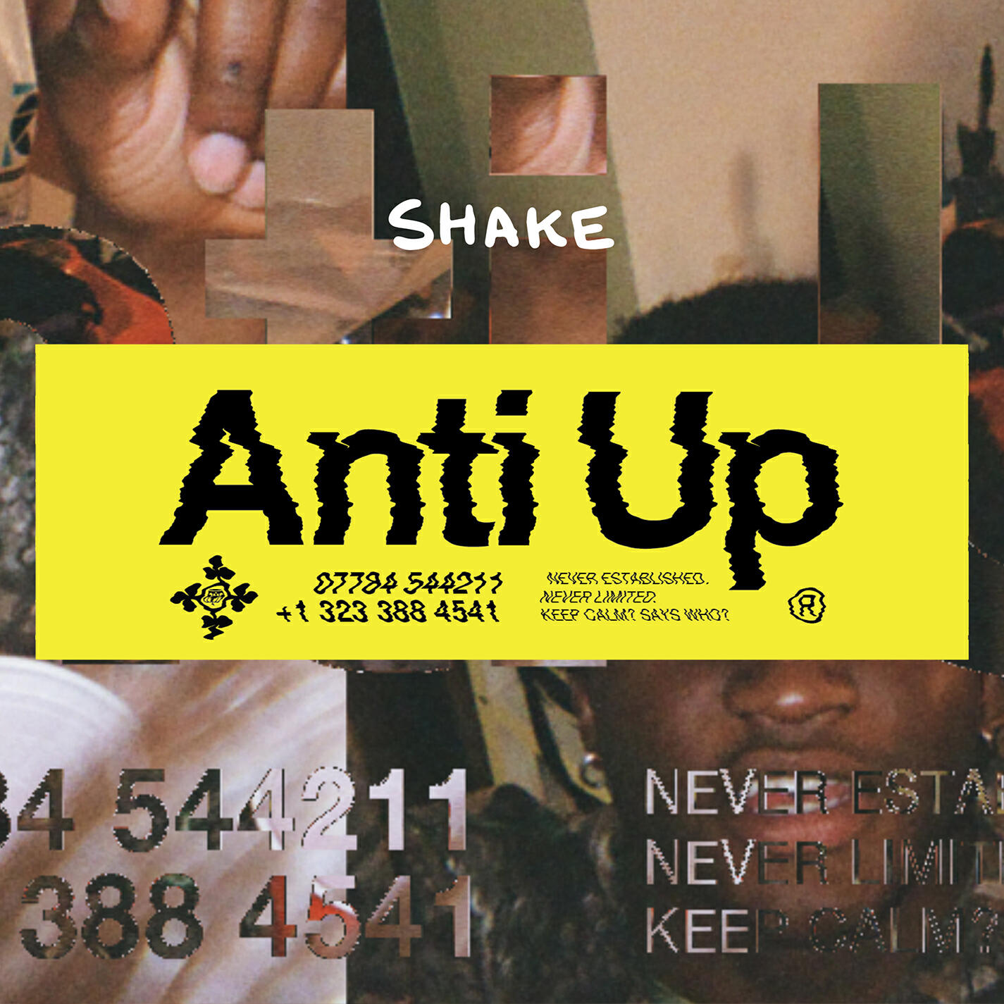 Релиз Shake (Extended Mix)
