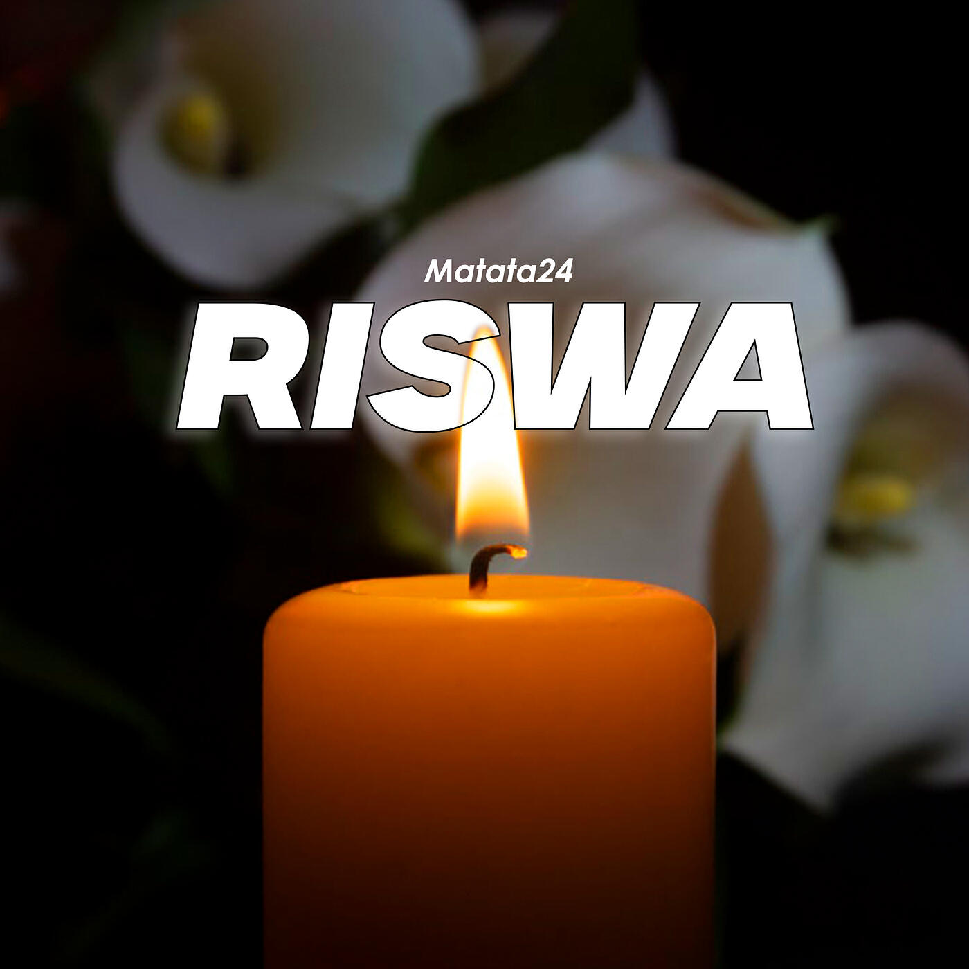 Релиз Riswa