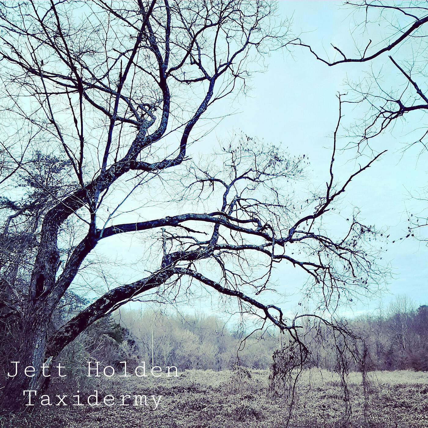 Релиз Taxidermy