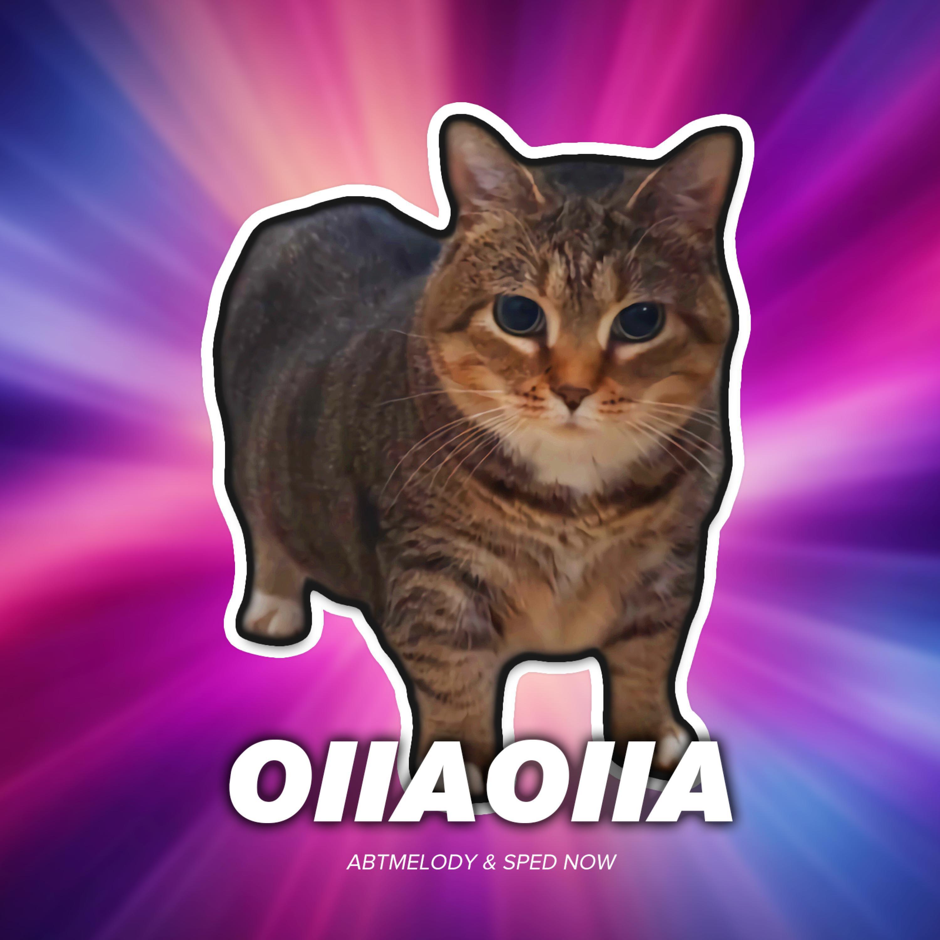 Релиз OIIAOIIA