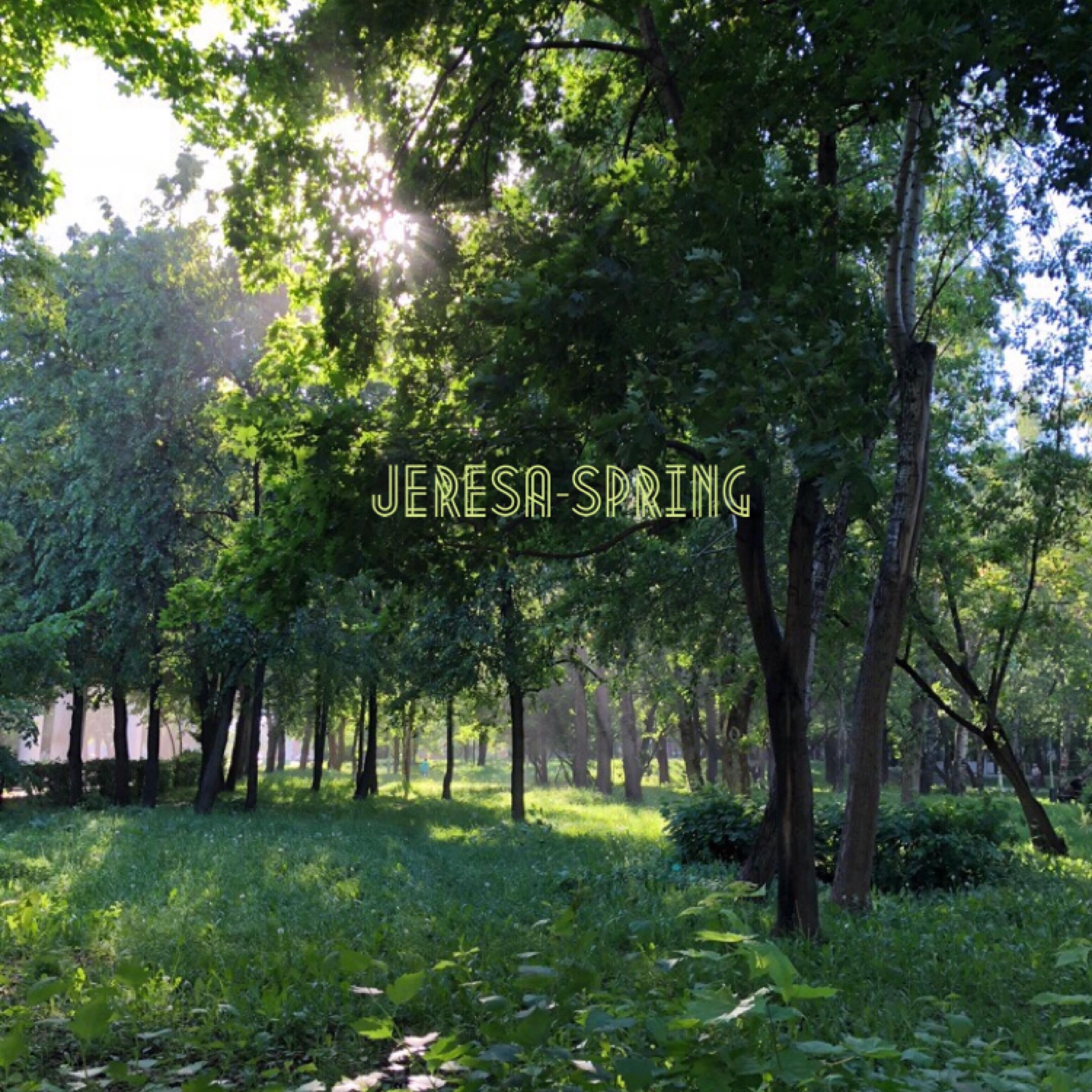 Релиз Spring
