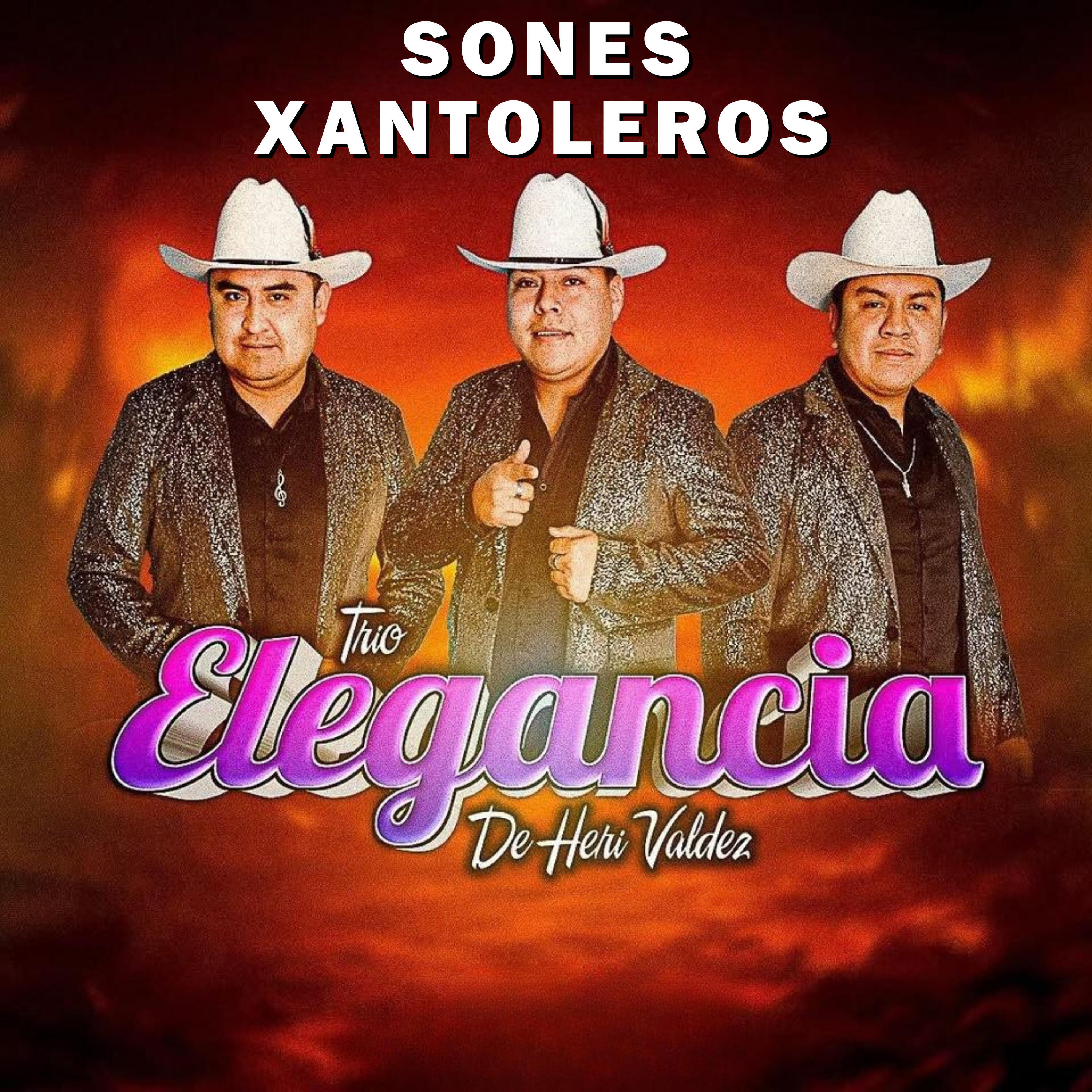 TRIO ELEGANCIA DE HERI VALDEZ