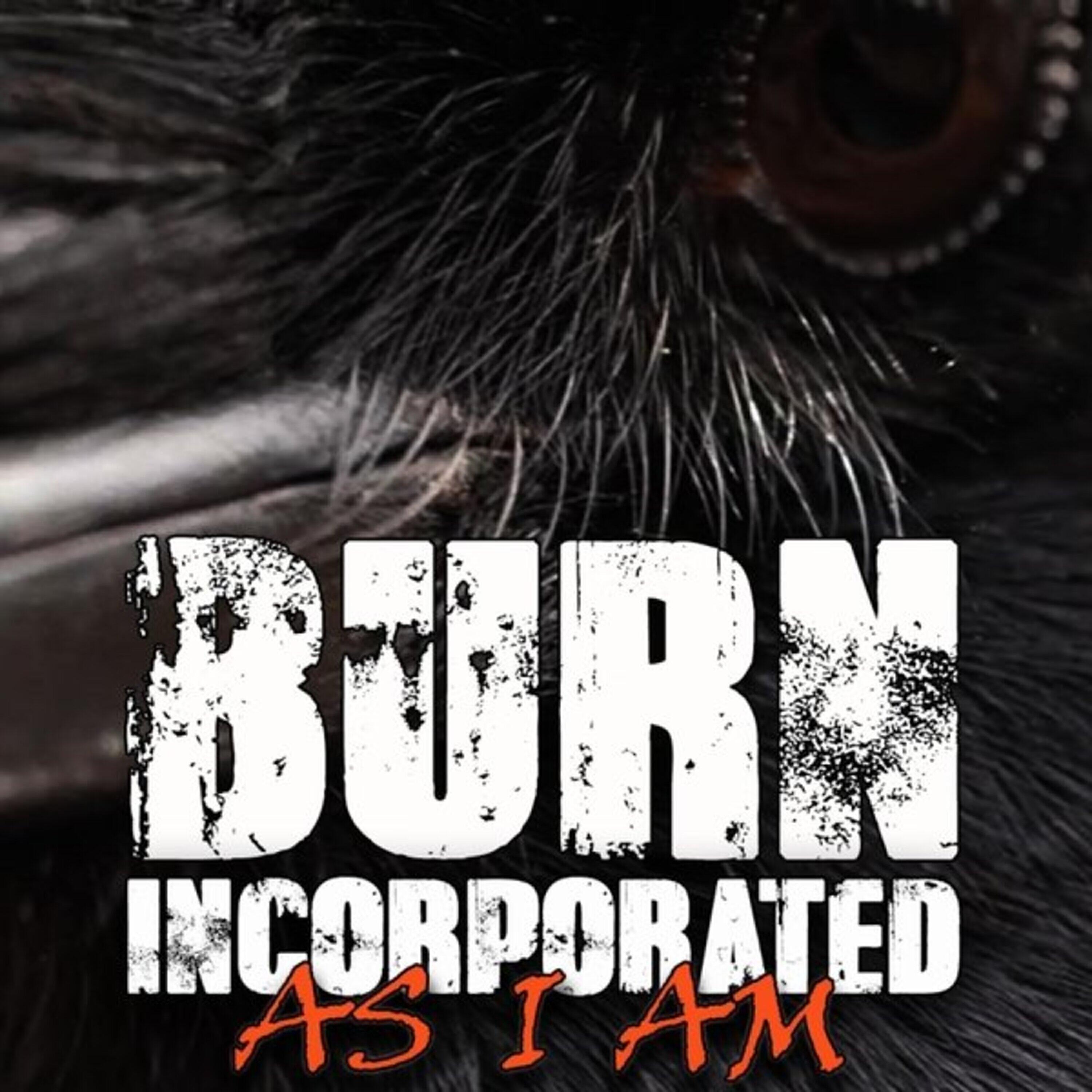 Burn Incorporated