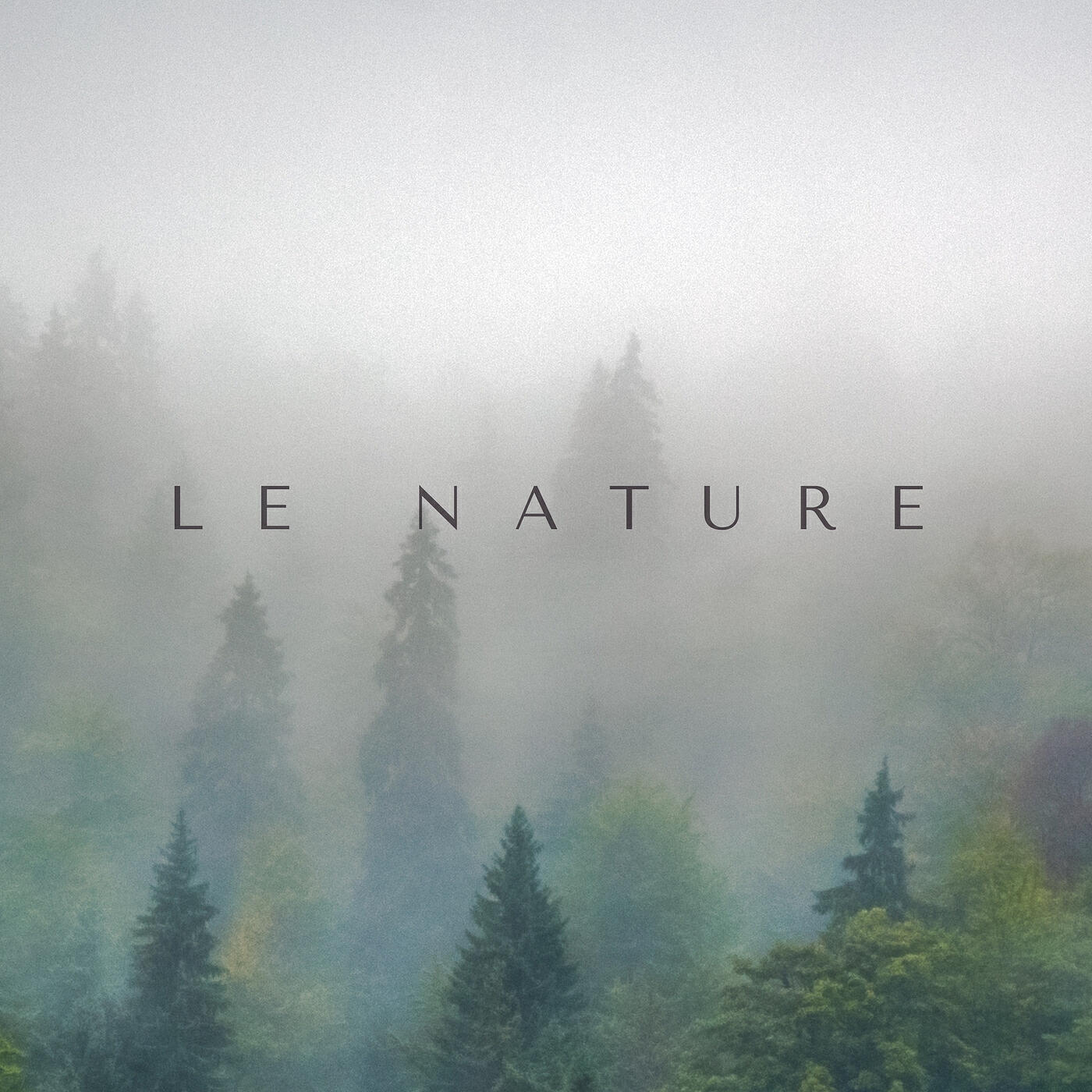 Релиз Le Nature