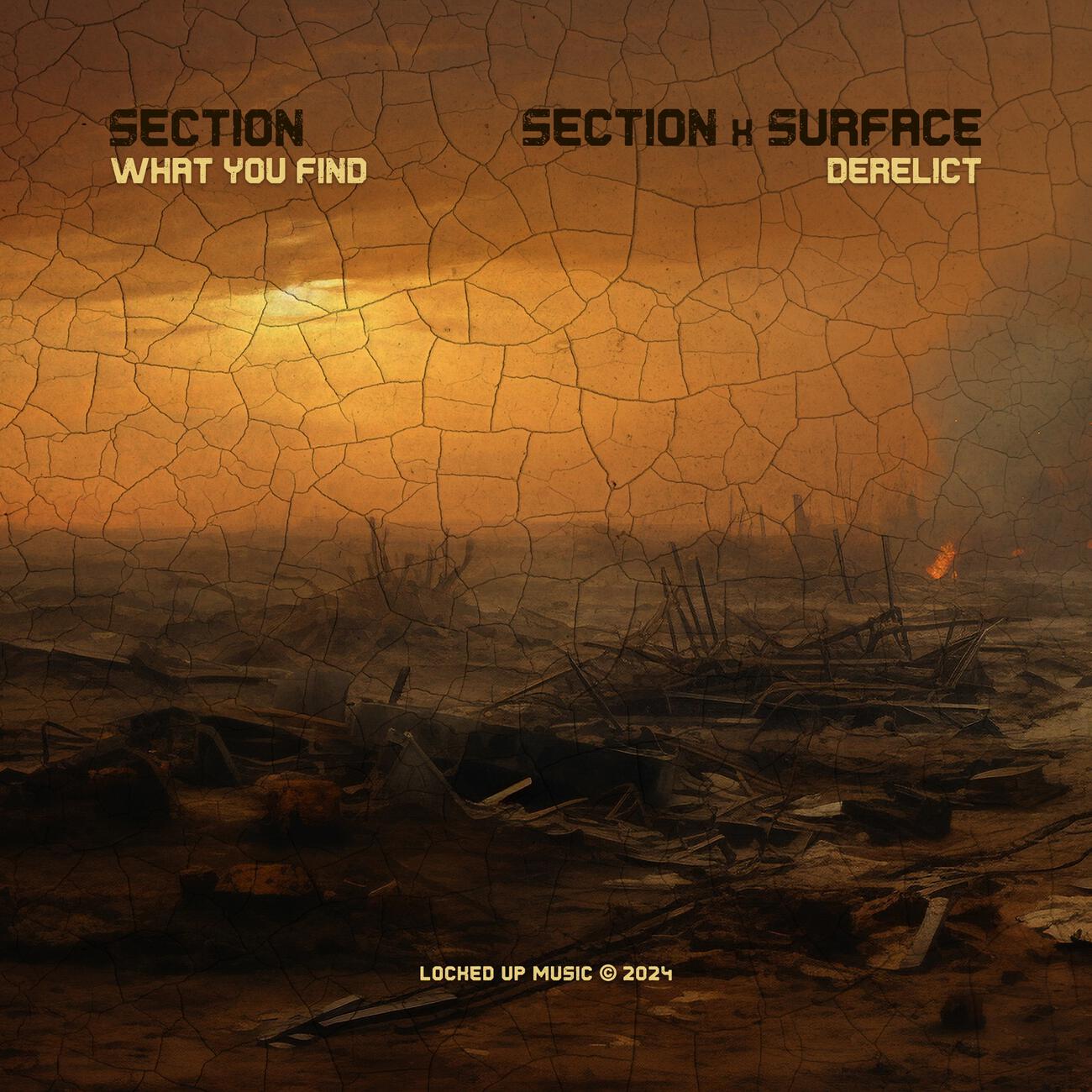 Релиз What You Find / Derelict