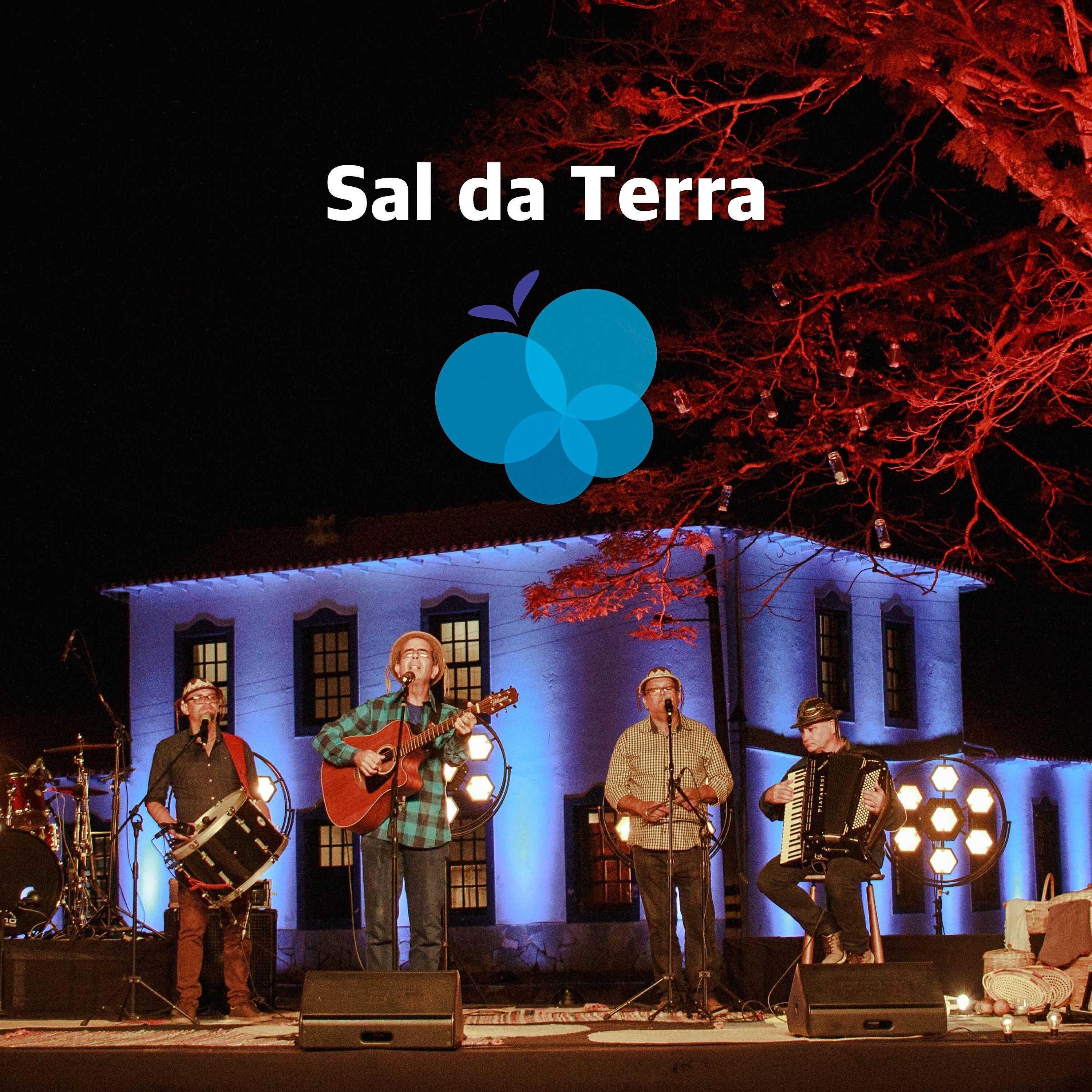 Постер альбома Sal da Terra