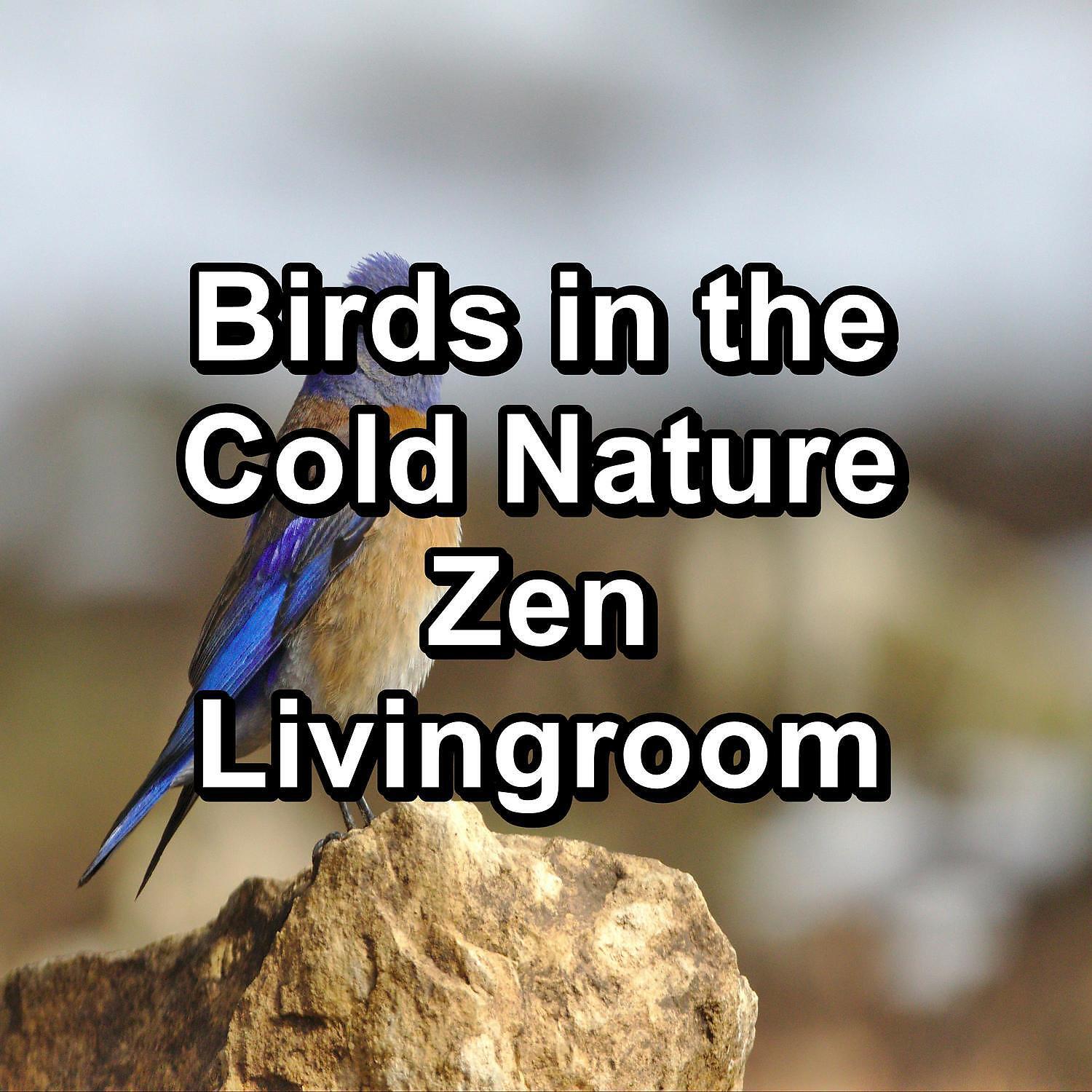 Релиз Birds in the Cold Nature Zen Livingroom
