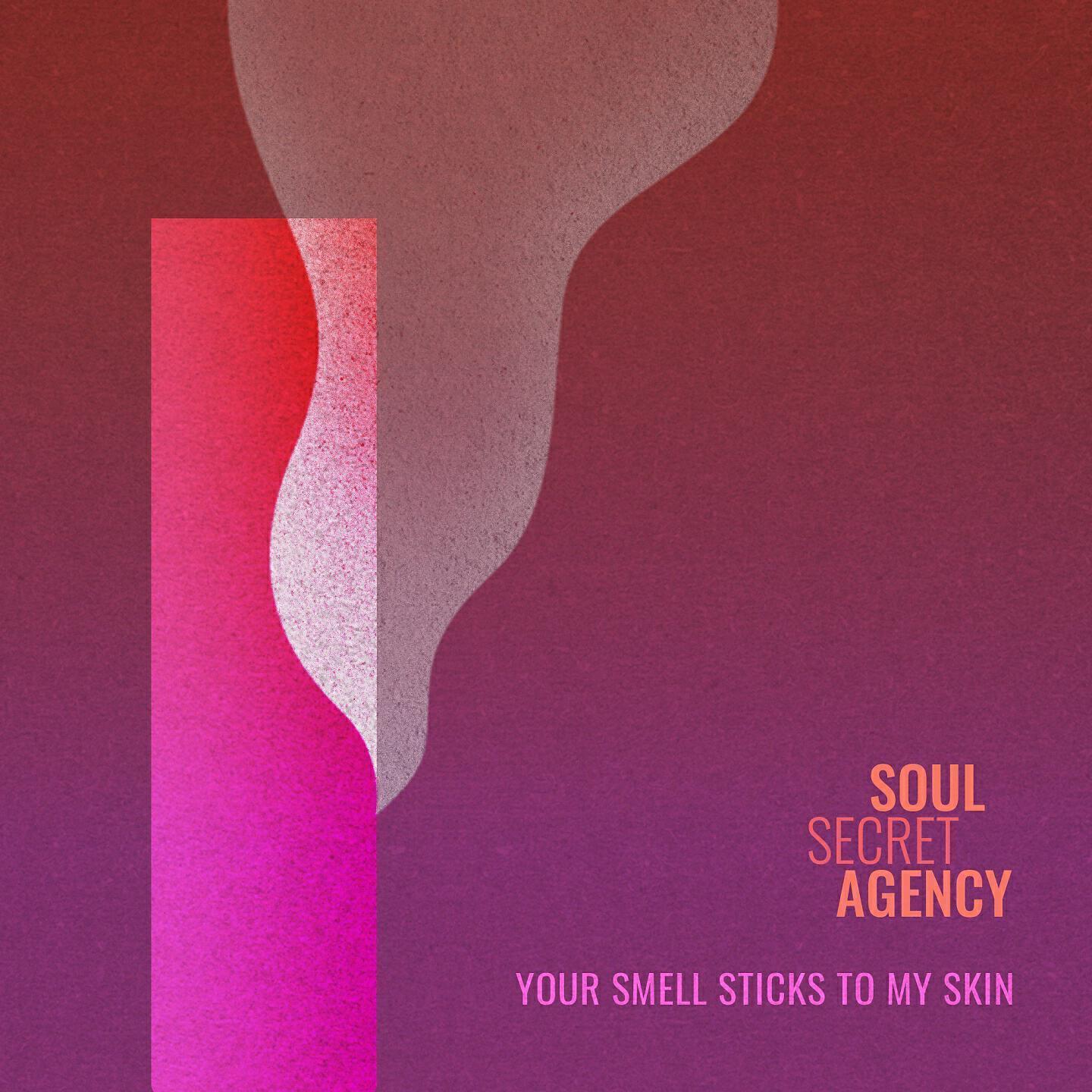 Soul Secret Agency