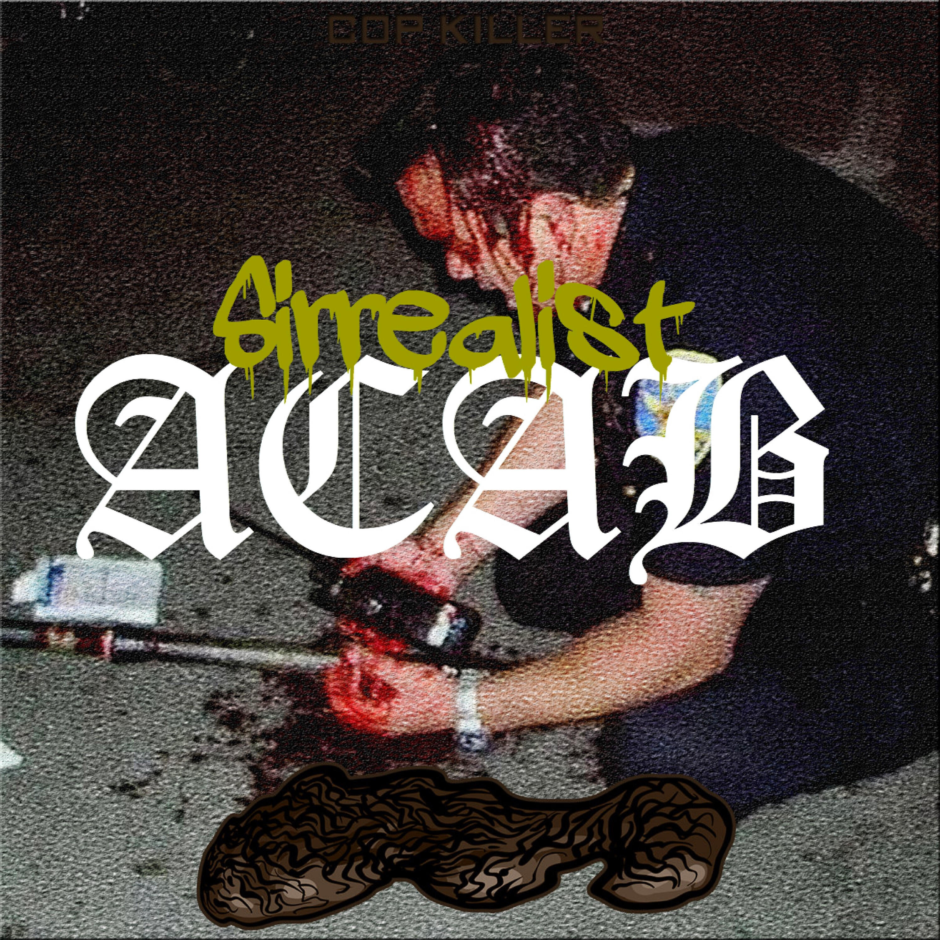 Релиз Acab