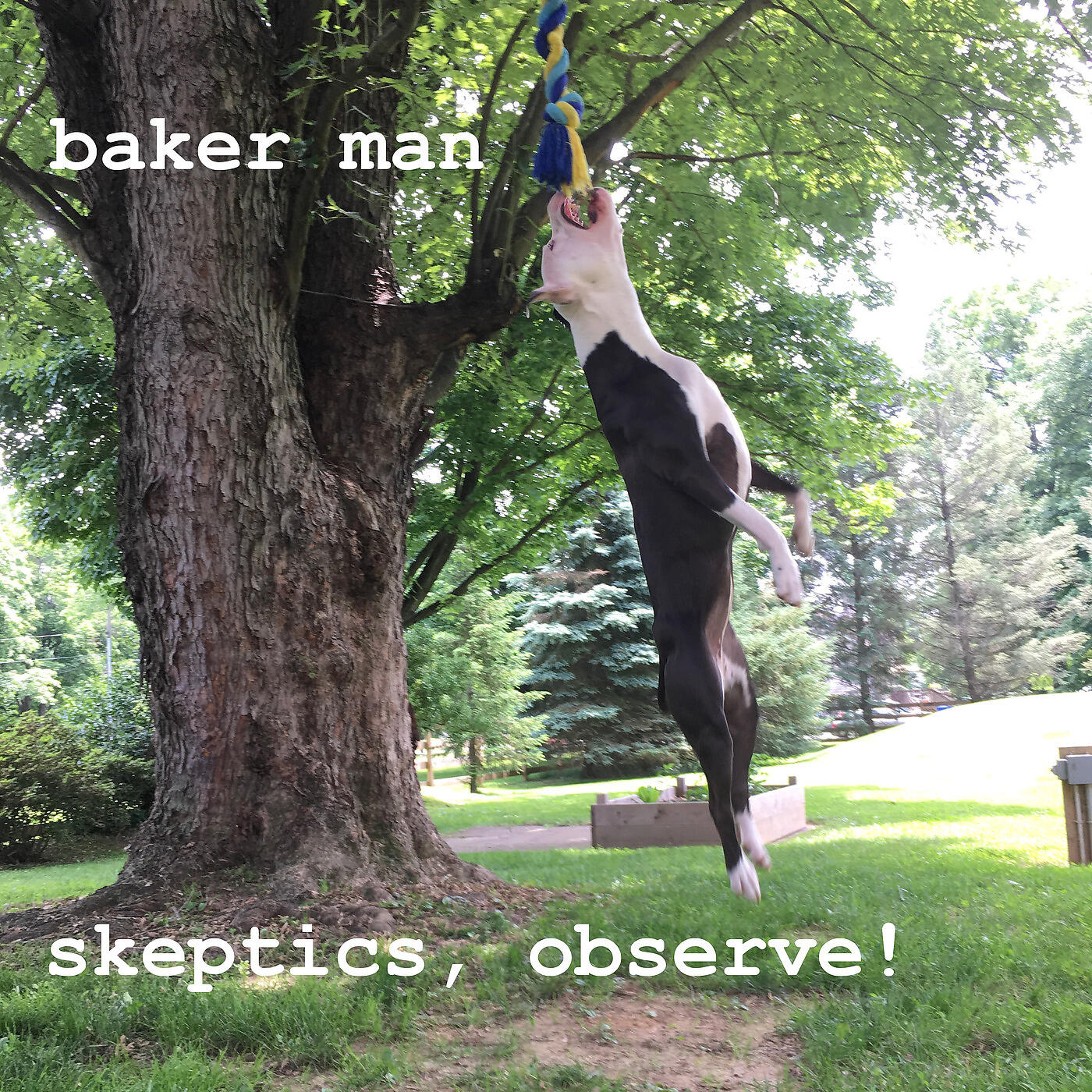Релиз Skeptics, Observe!