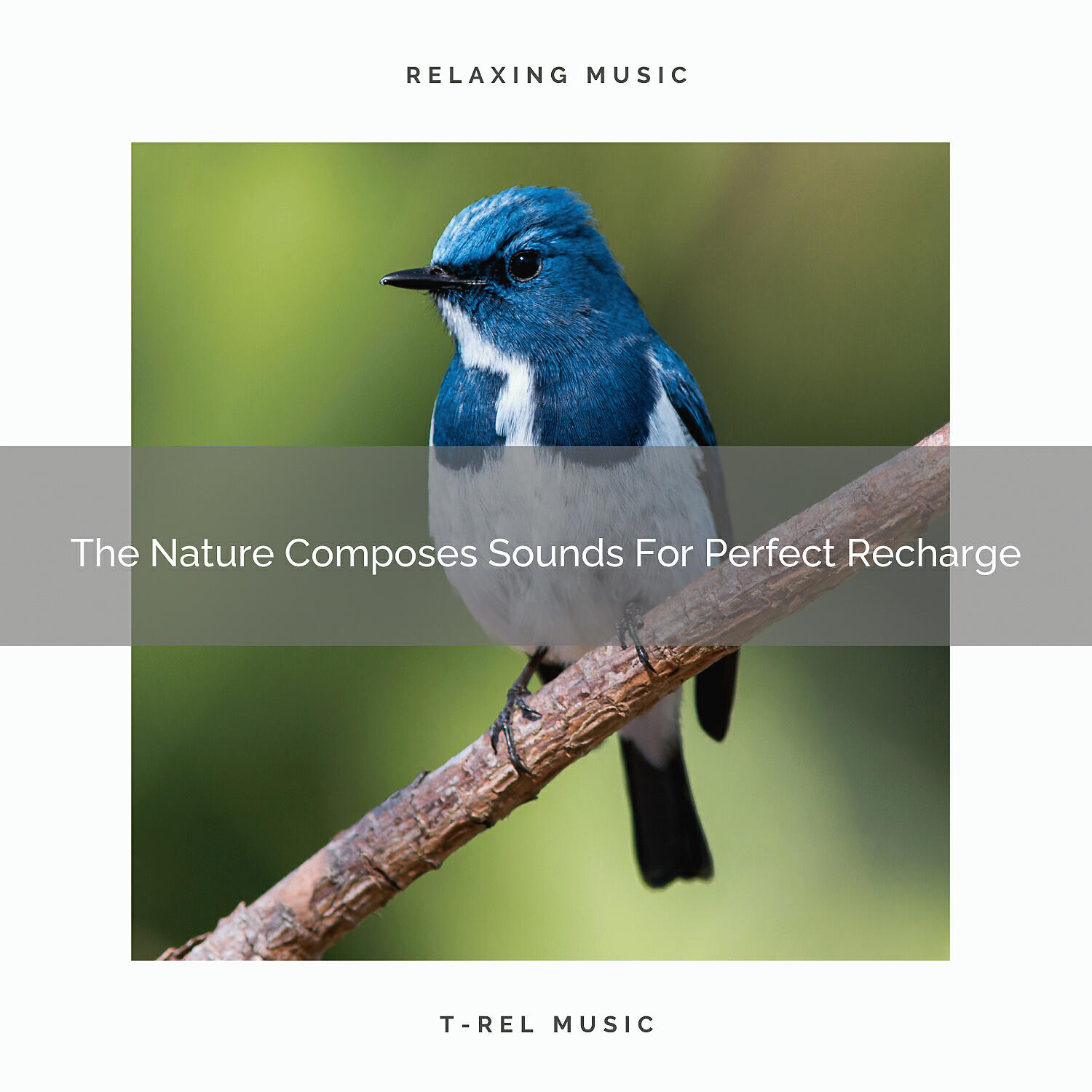 Релиз The Nature Composes Sounds For Perfect Recharge