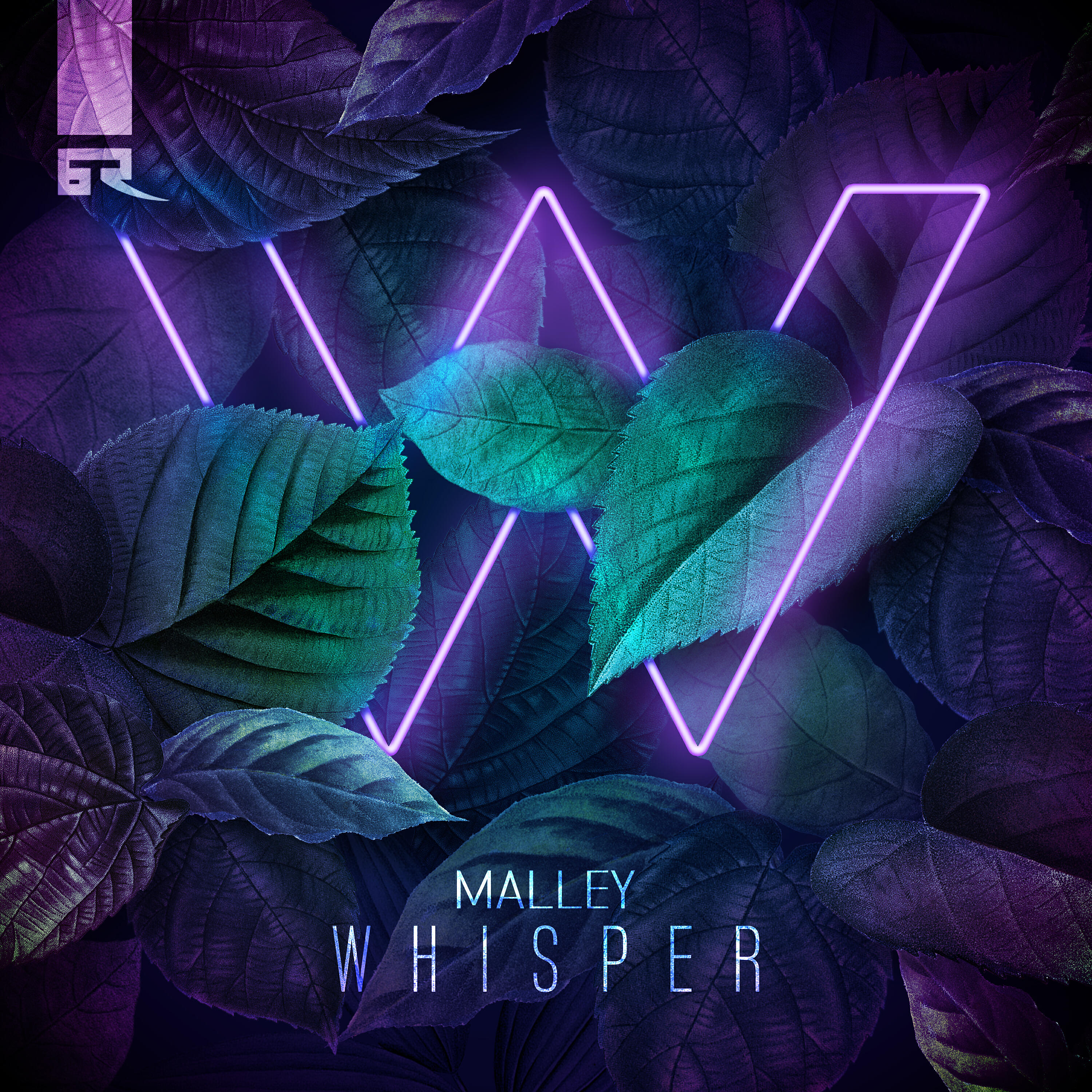 Релиз Whisper