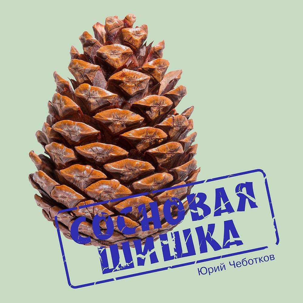 Релиз Сосновая Шишка