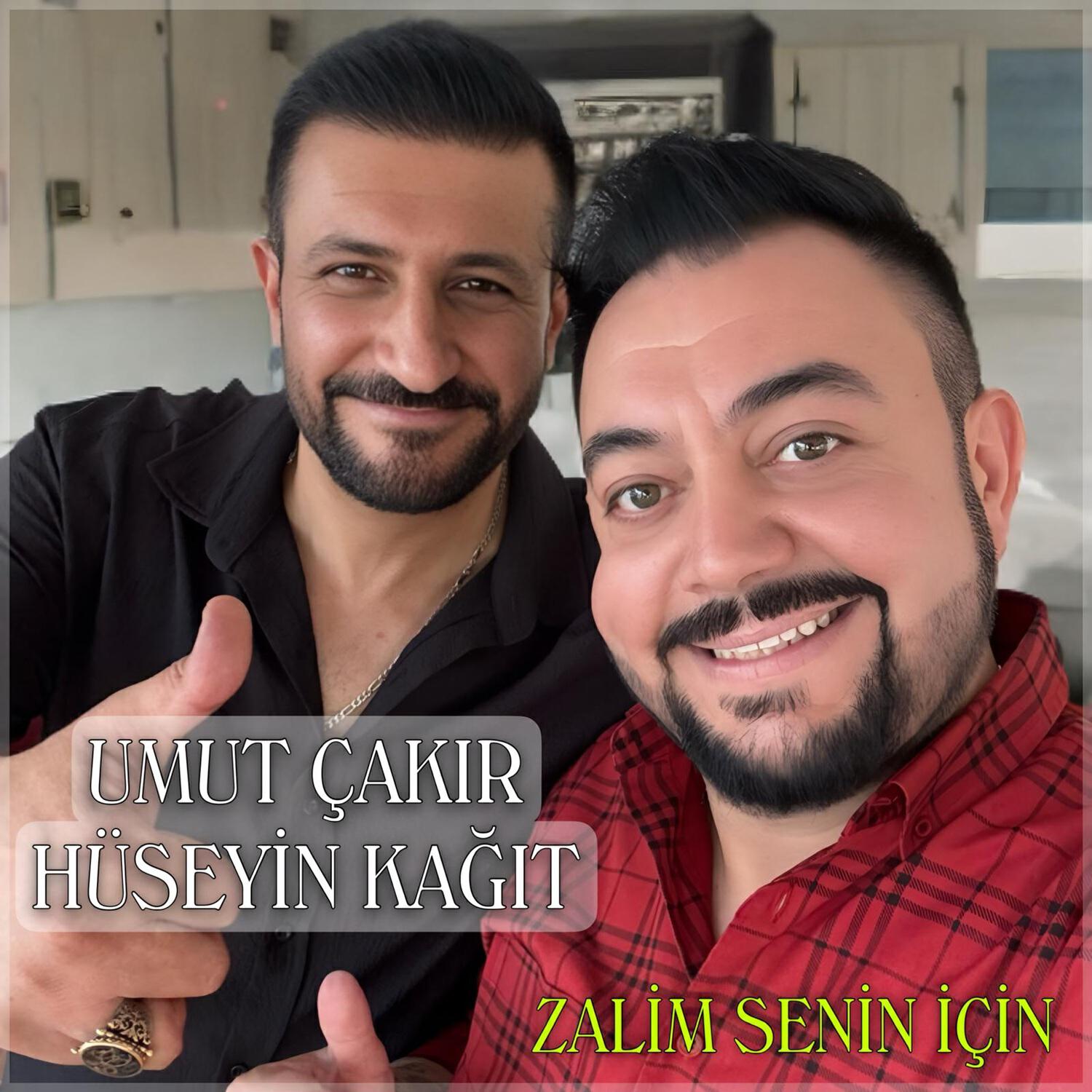 Постер альбома Zalim Senin İçin