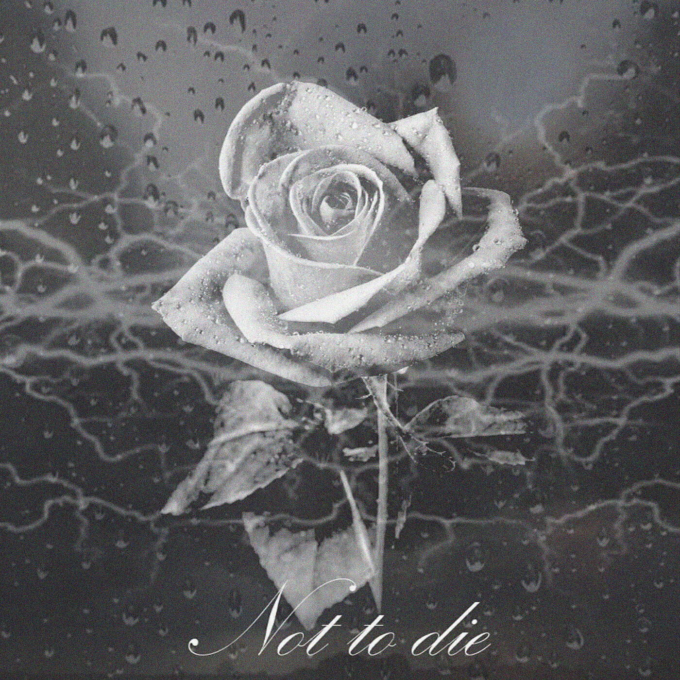 Релиз Not to Die