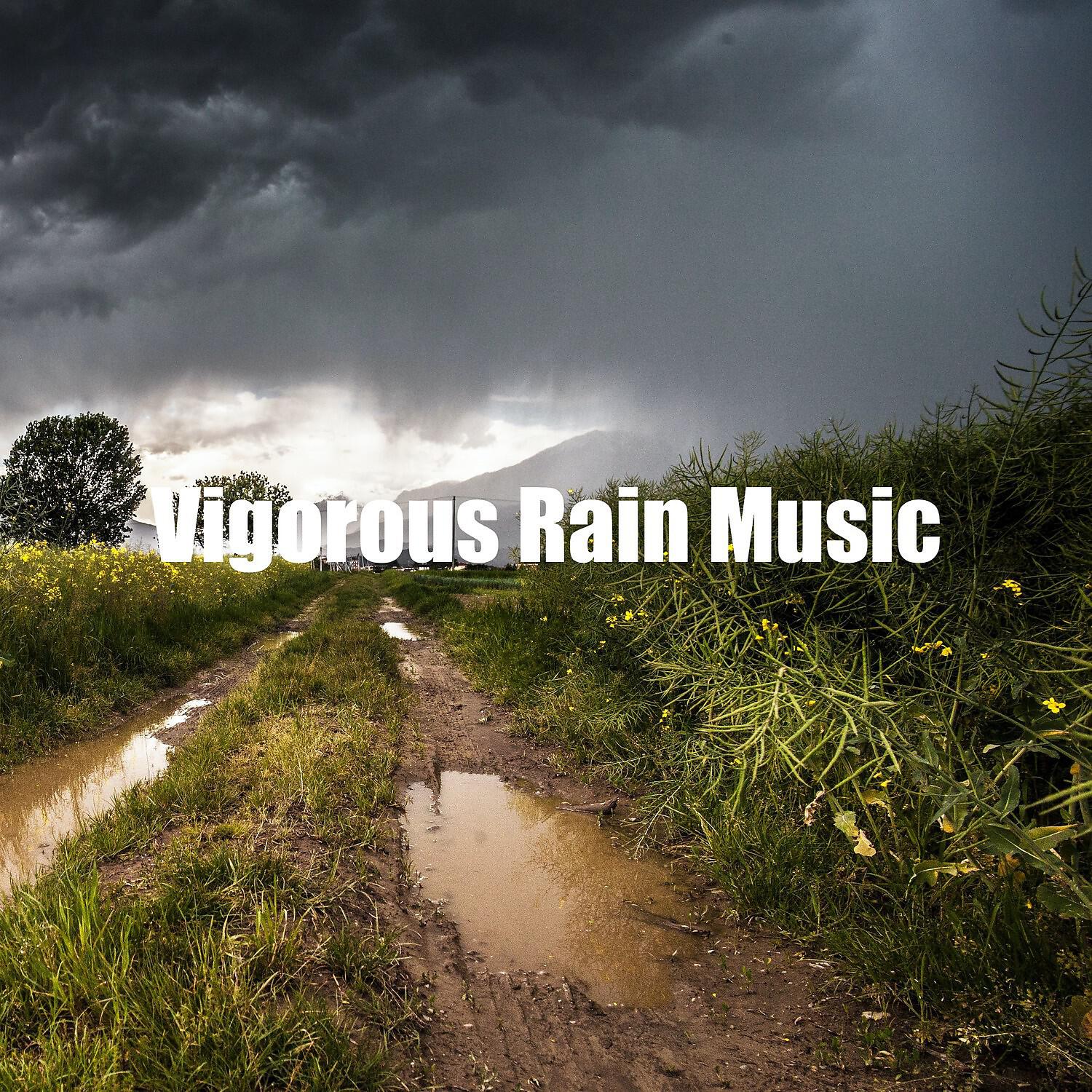 Релиз Vigorous Rain Music