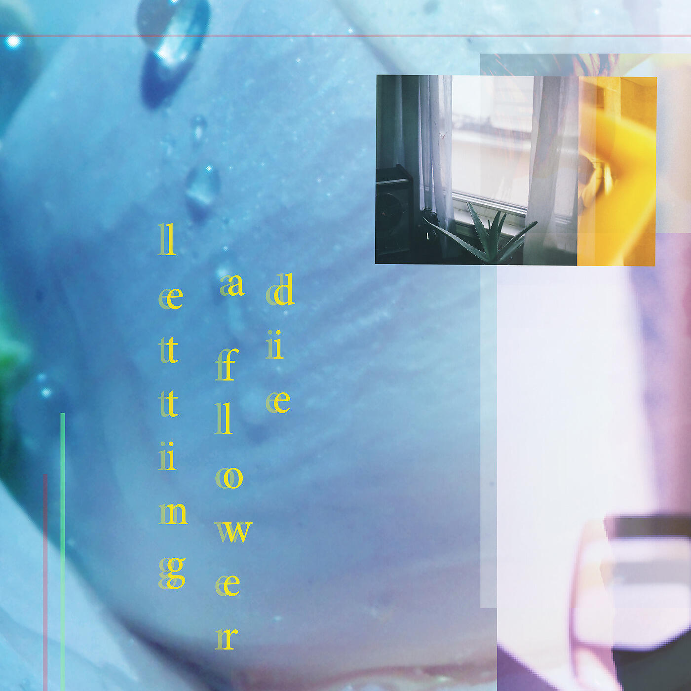 Релиз Letting a Flower Die