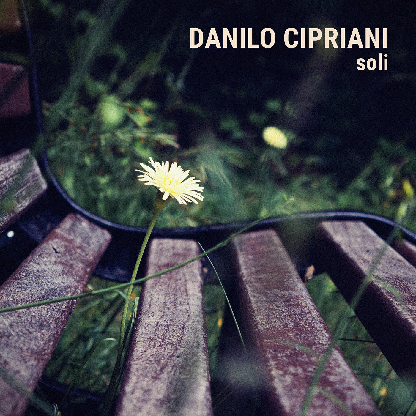 Danilo Cipriani