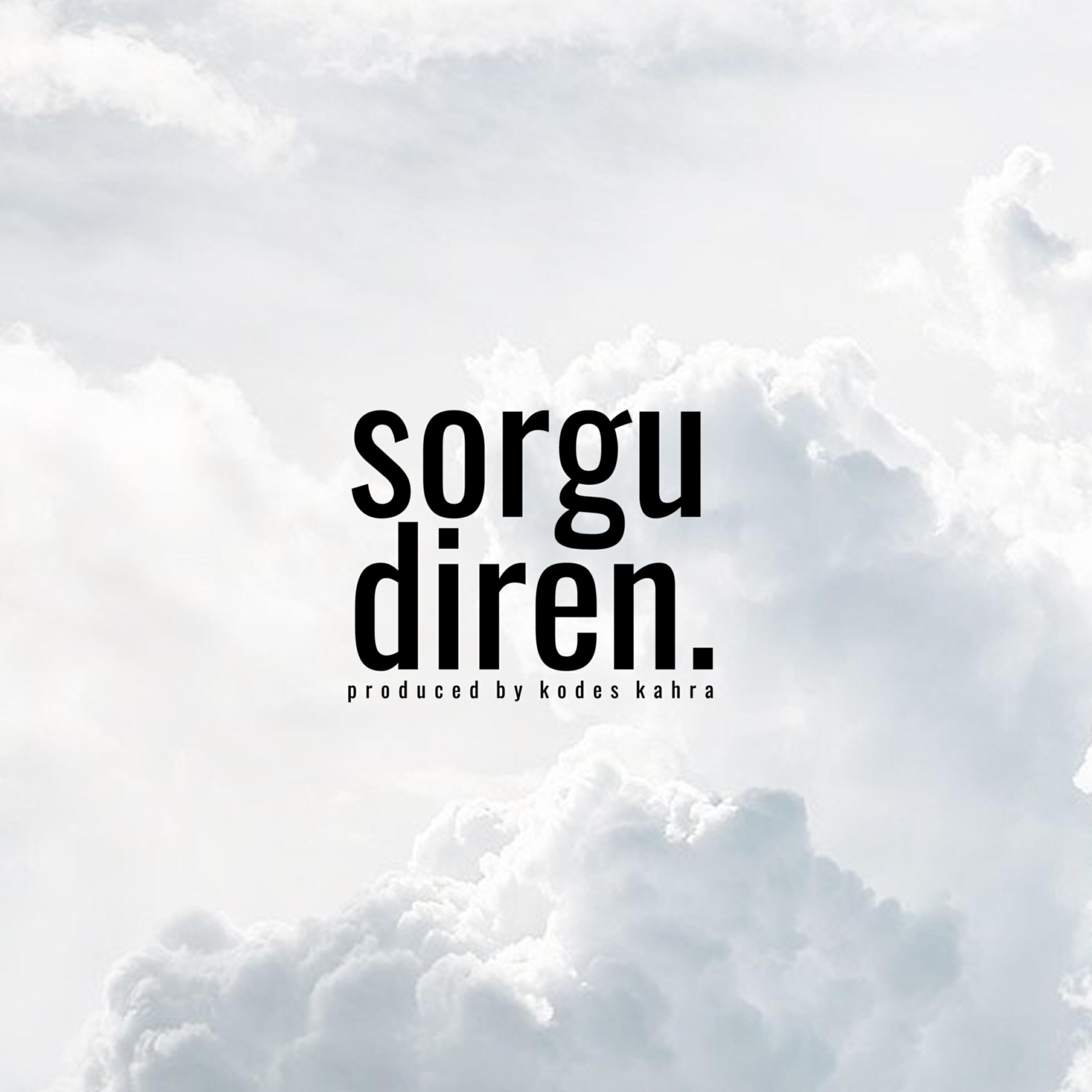 Релиз Diren