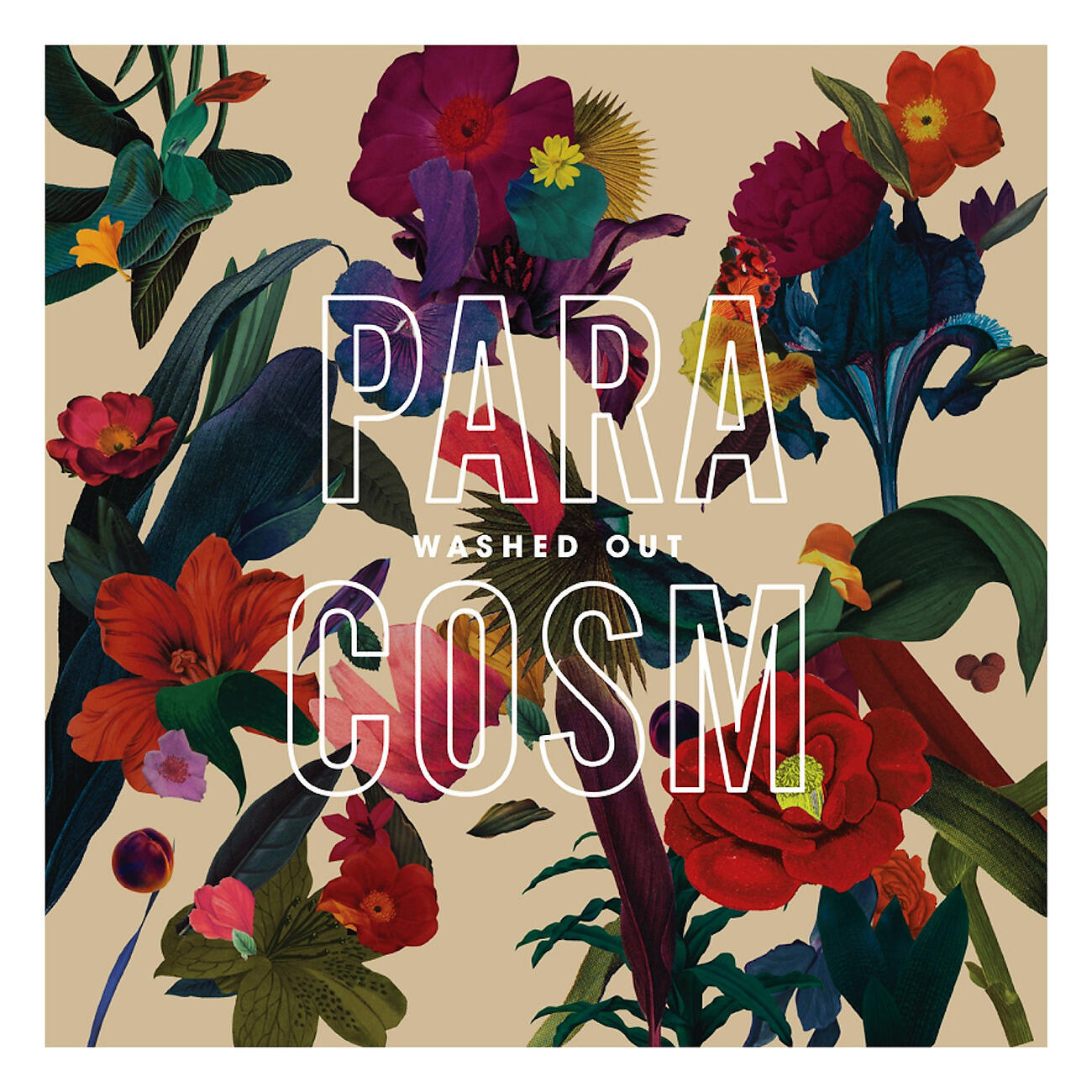 Релиз Paracosm