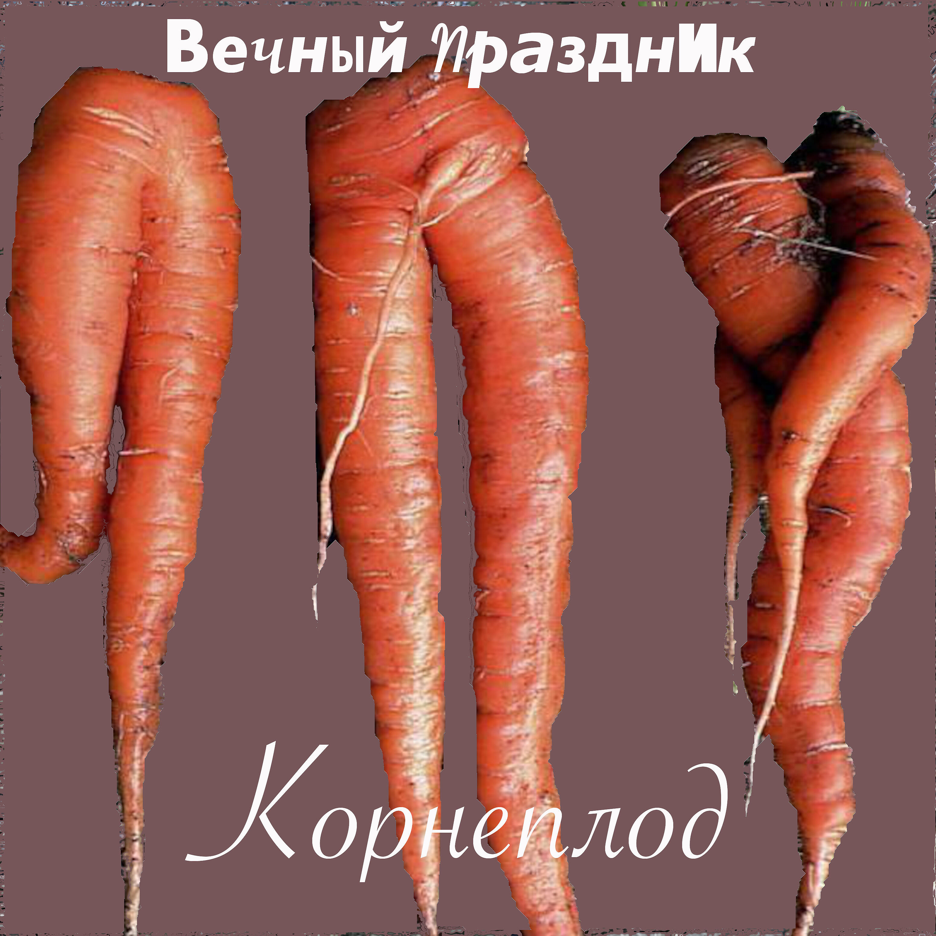 Релиз Корнеплод