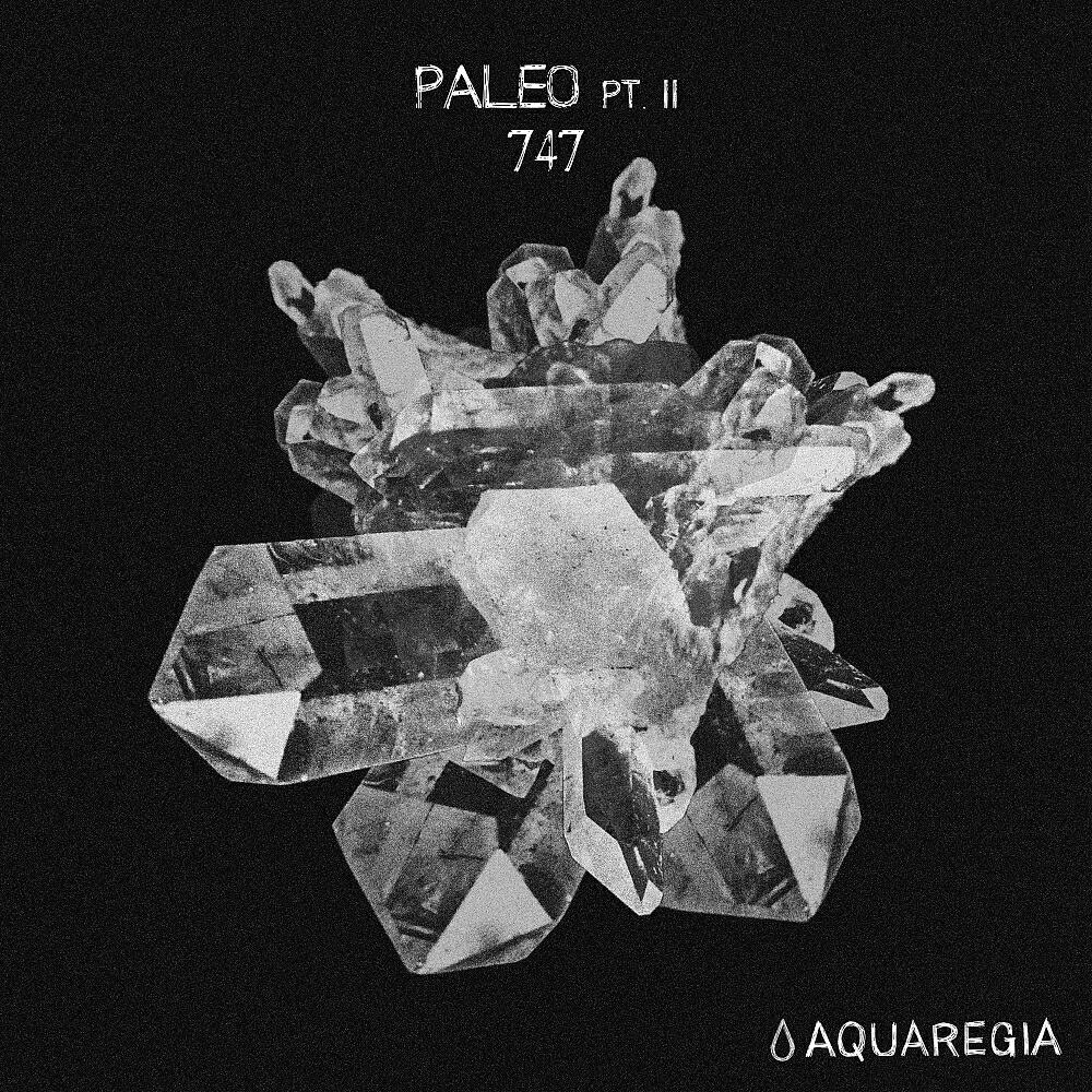 Релиз Paleo, Pt. 2