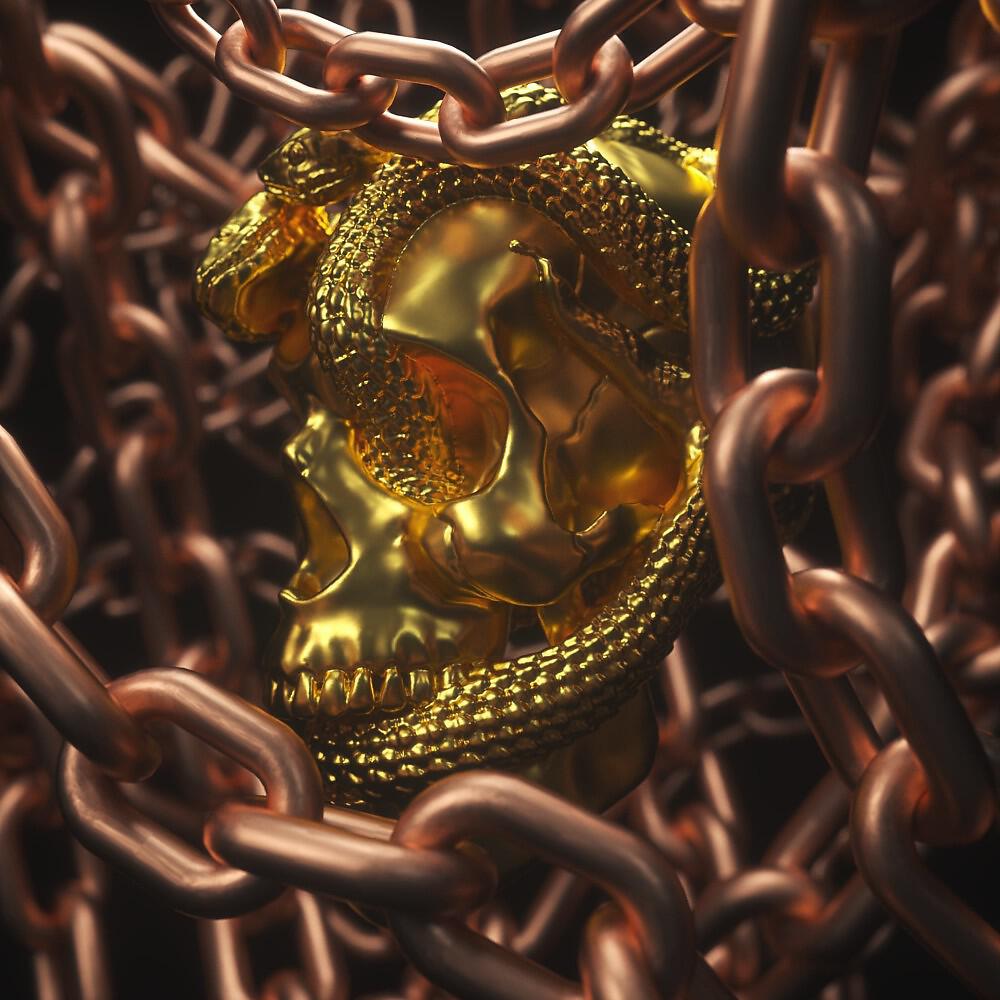 Постер альбома Snakes