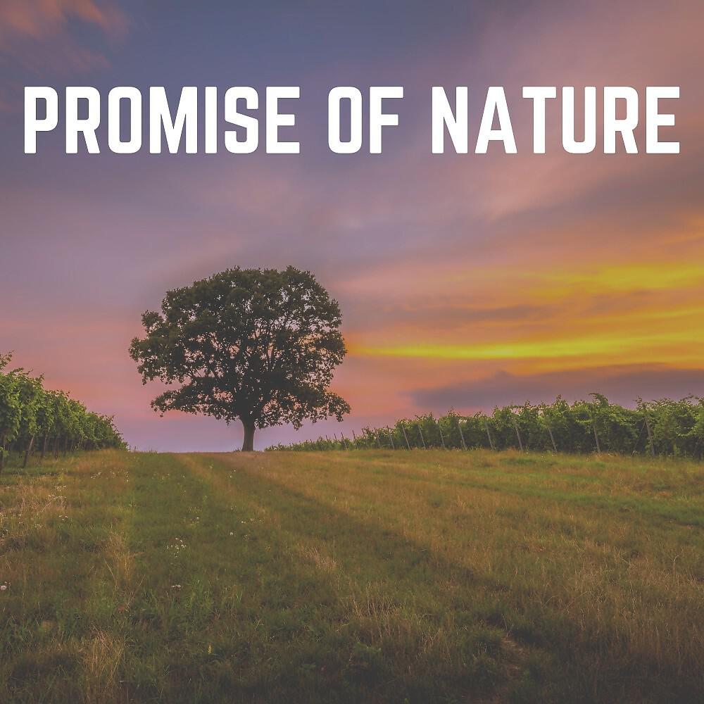 Релиз Promise of Nature