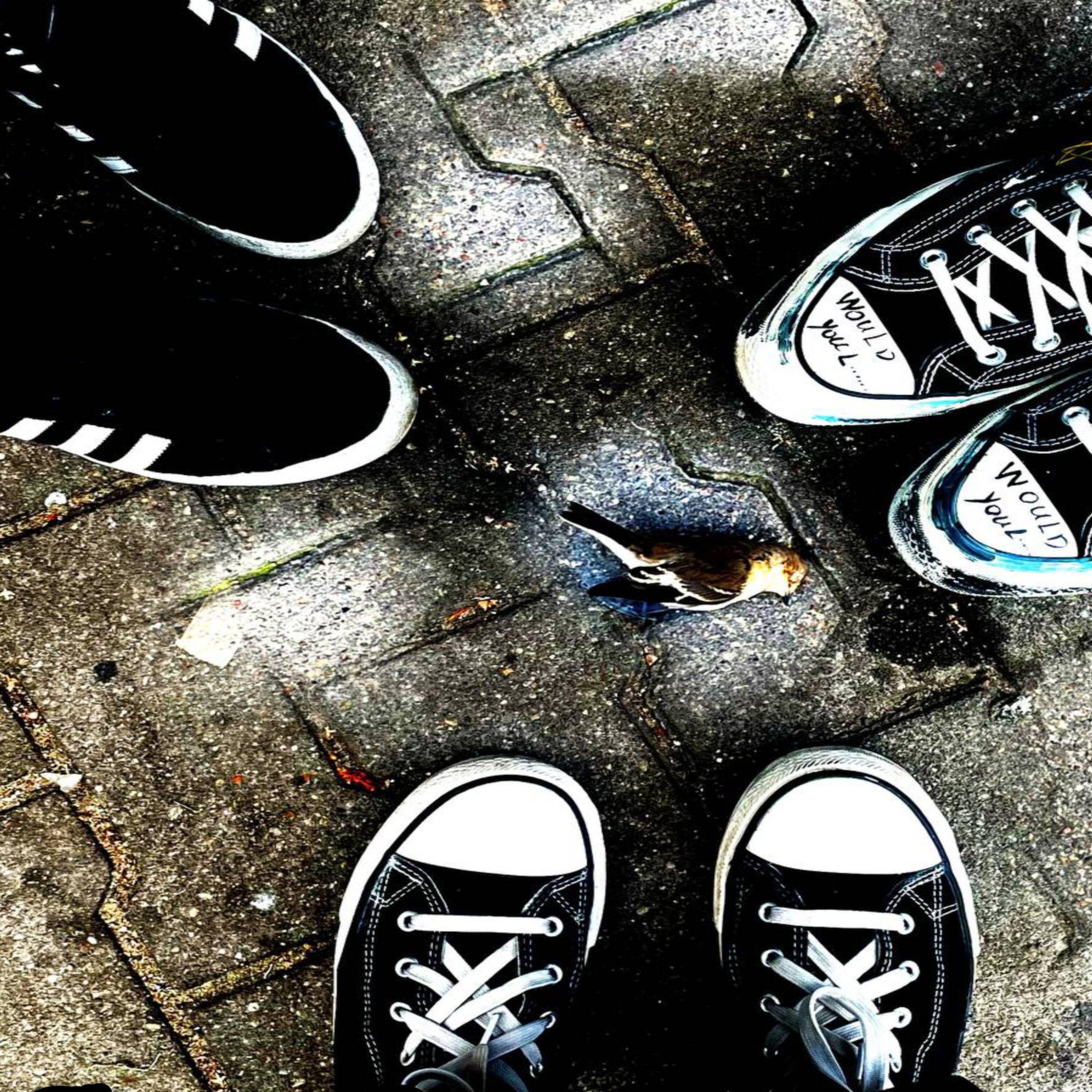 Релиз MCR